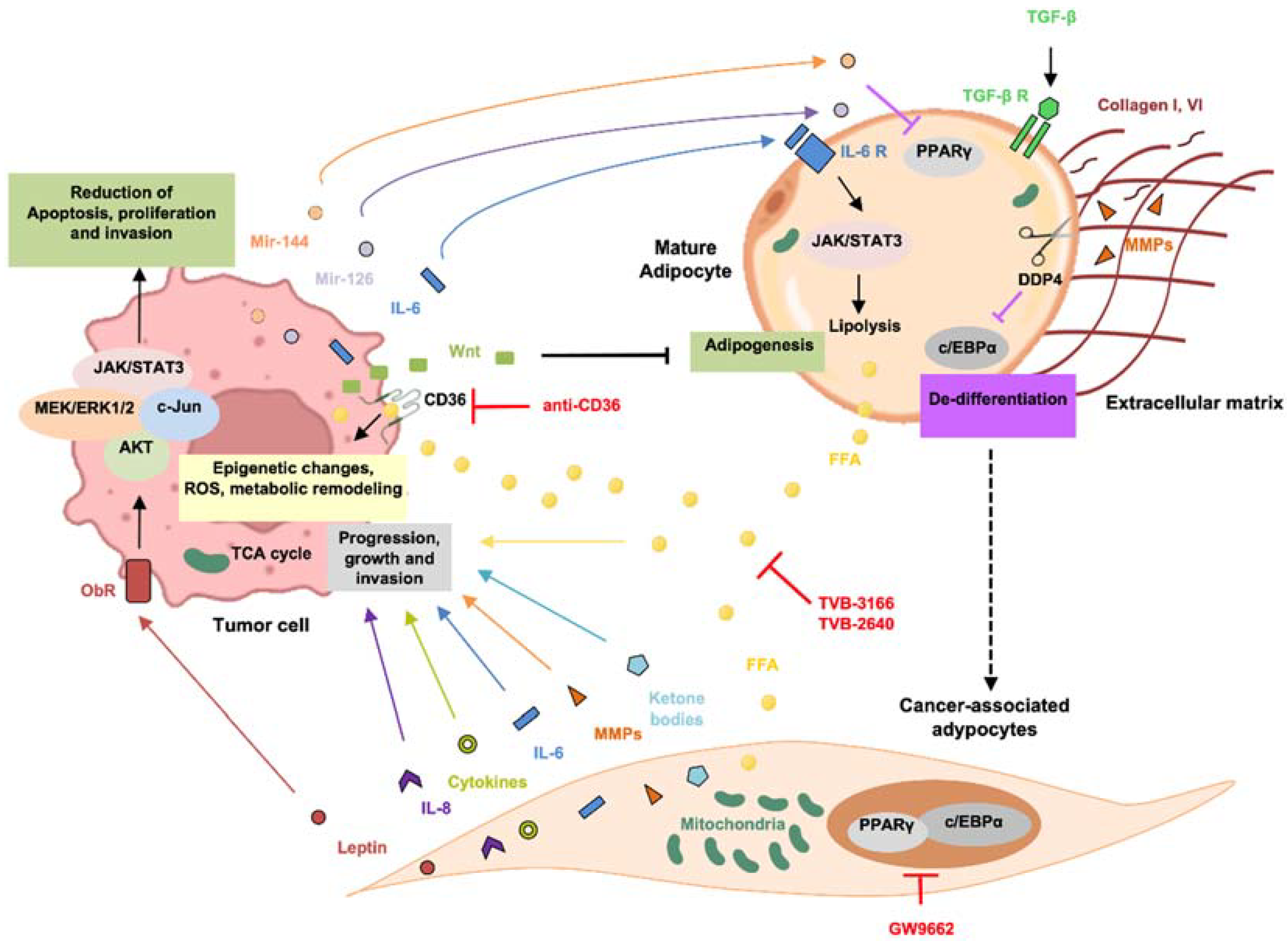 Biomolecules 12 00702 g001 Biomolecules 12 00702 g001