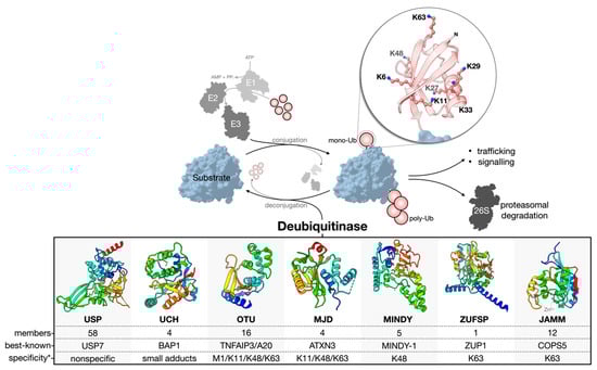 Biomolecules 12 00703 g001