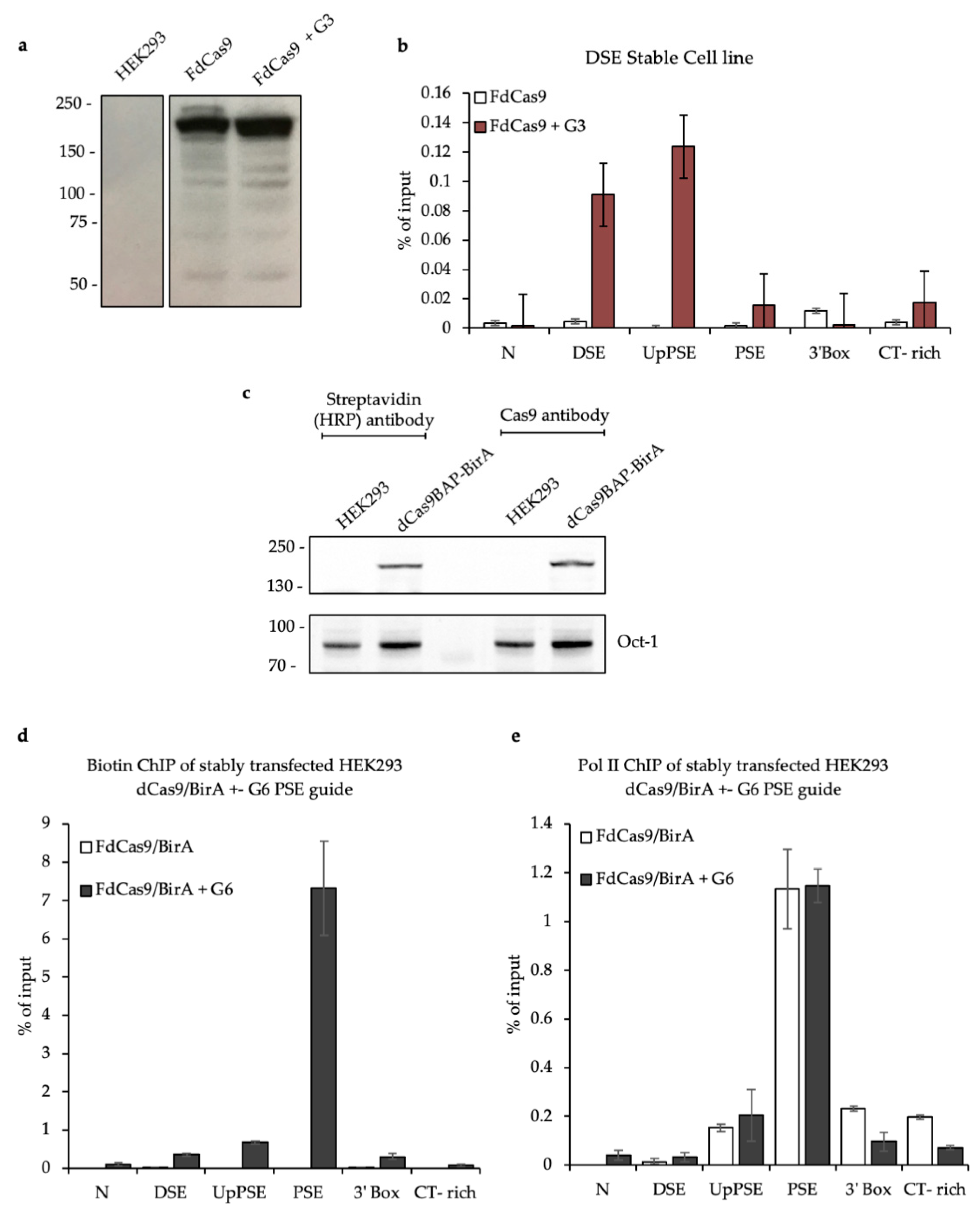 Biomolecules 12 00704 g003 Biomolecules 12 00704 g003