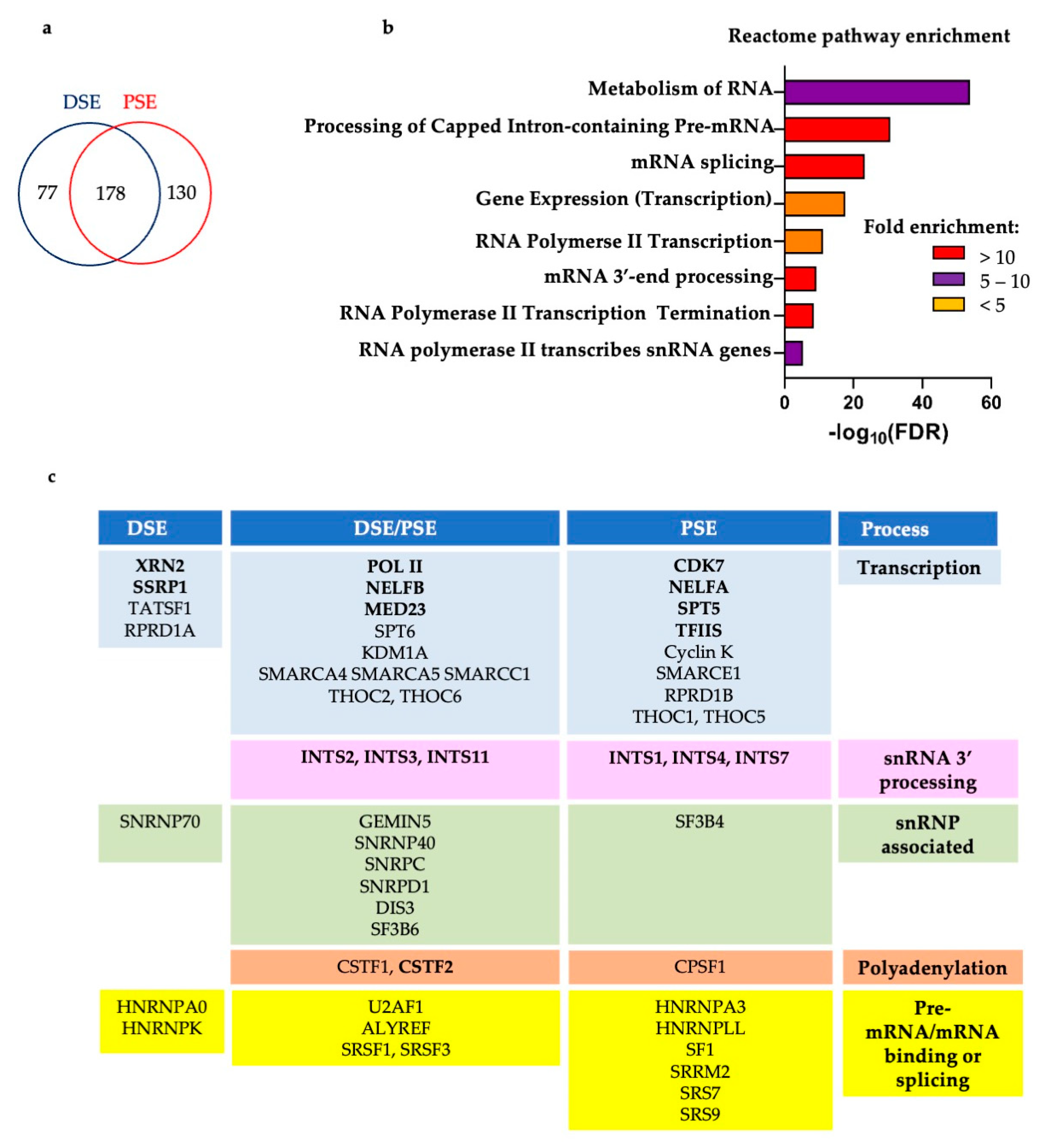 Biomolecules 12 00704 g004 Biomolecules 12 00704 g004