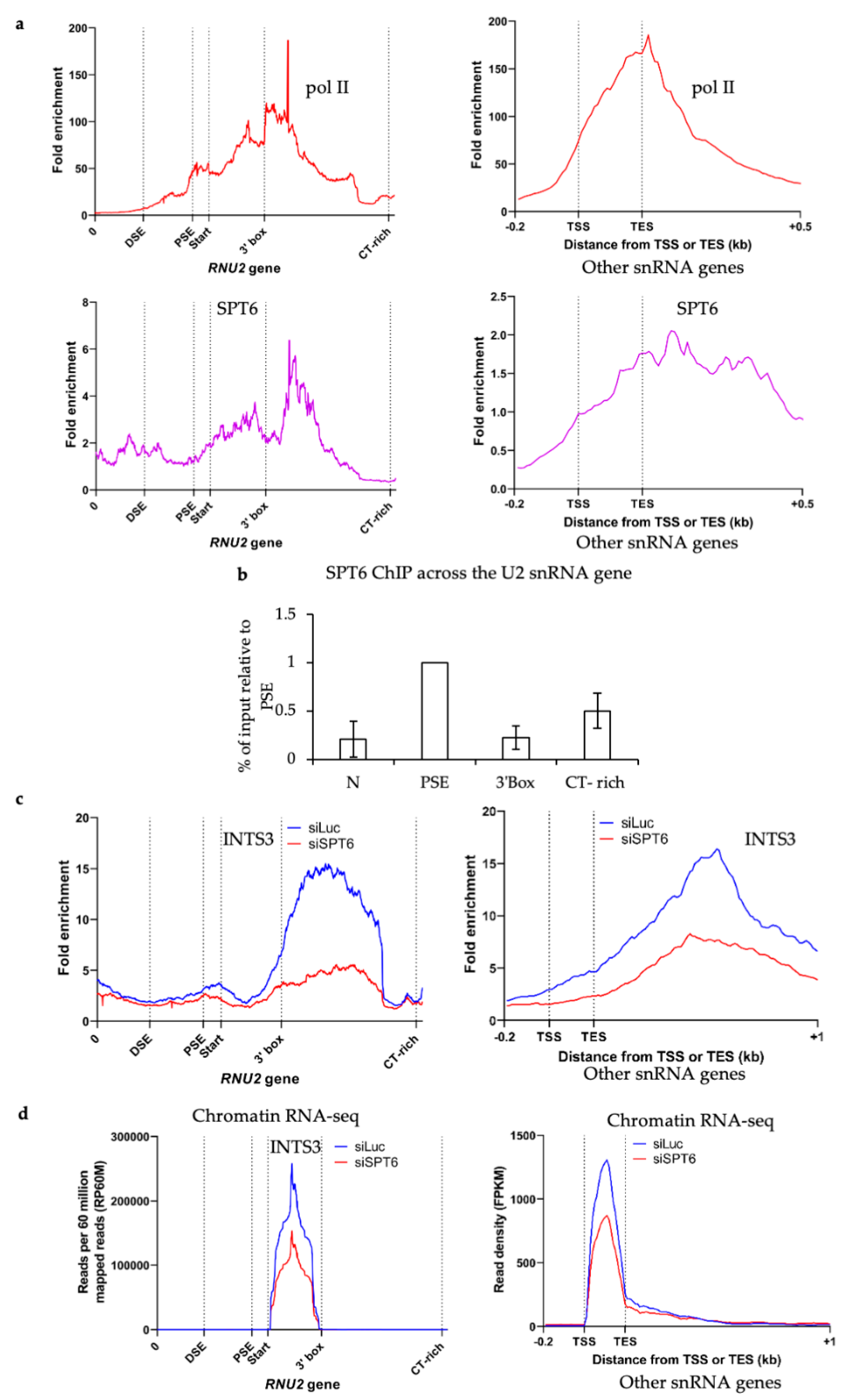 Biomolecules 12 00704 g005 Biomolecules 12 00704 g005