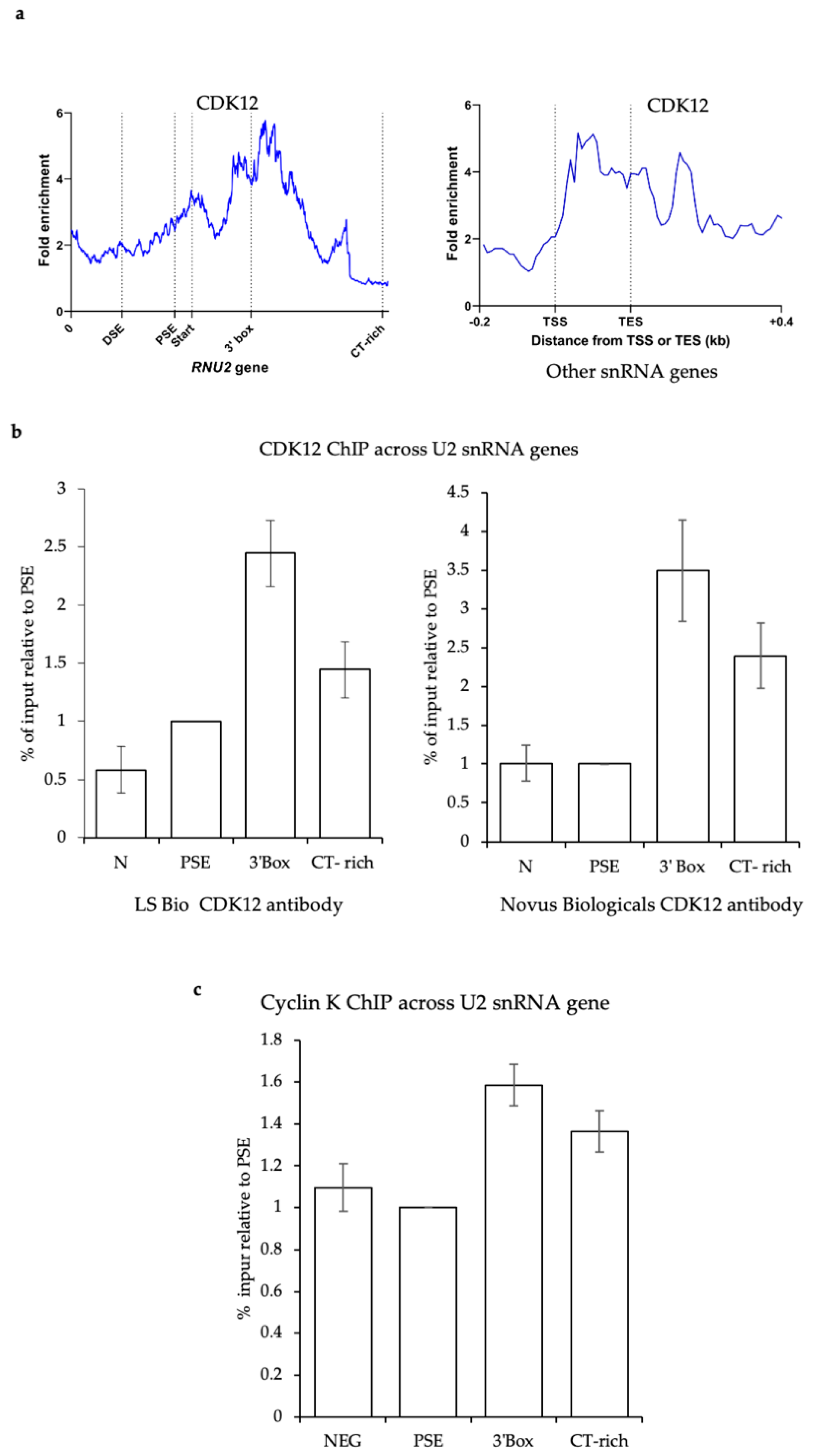 Biomolecules 12 00704 g006 Biomolecules 12 00704 g006