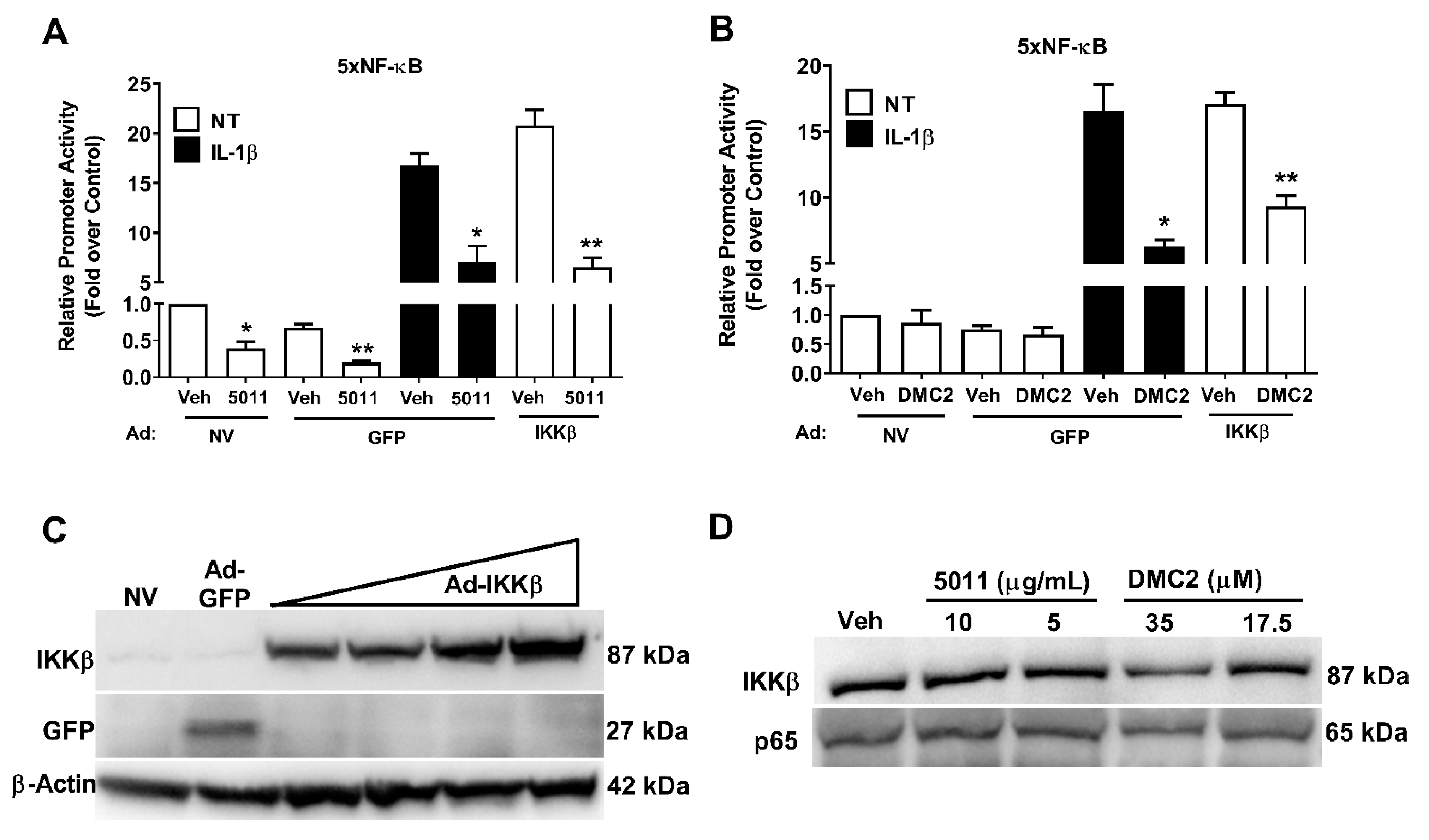 Biomolecules 12 00708 g002