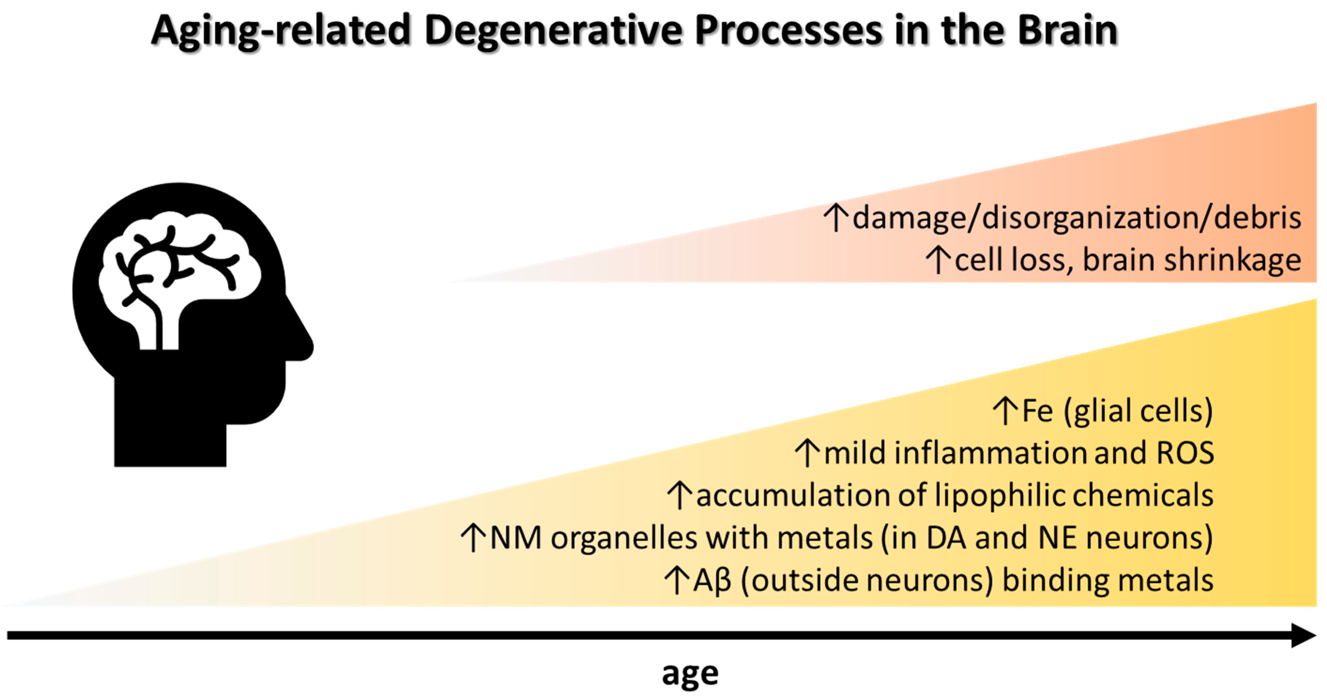 Biomolecules 12 00714 g001