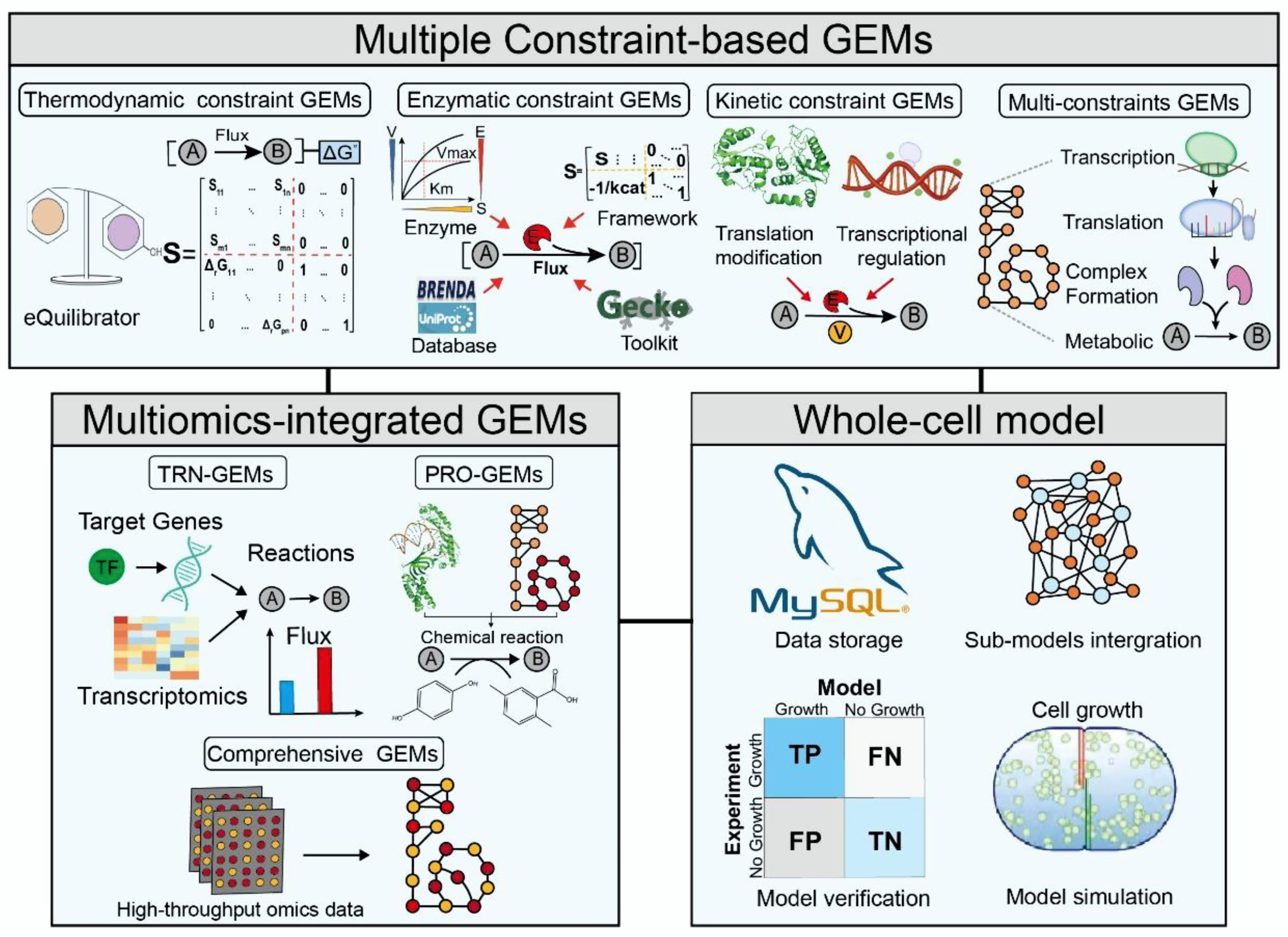 Biomolecules 12 00721 g002