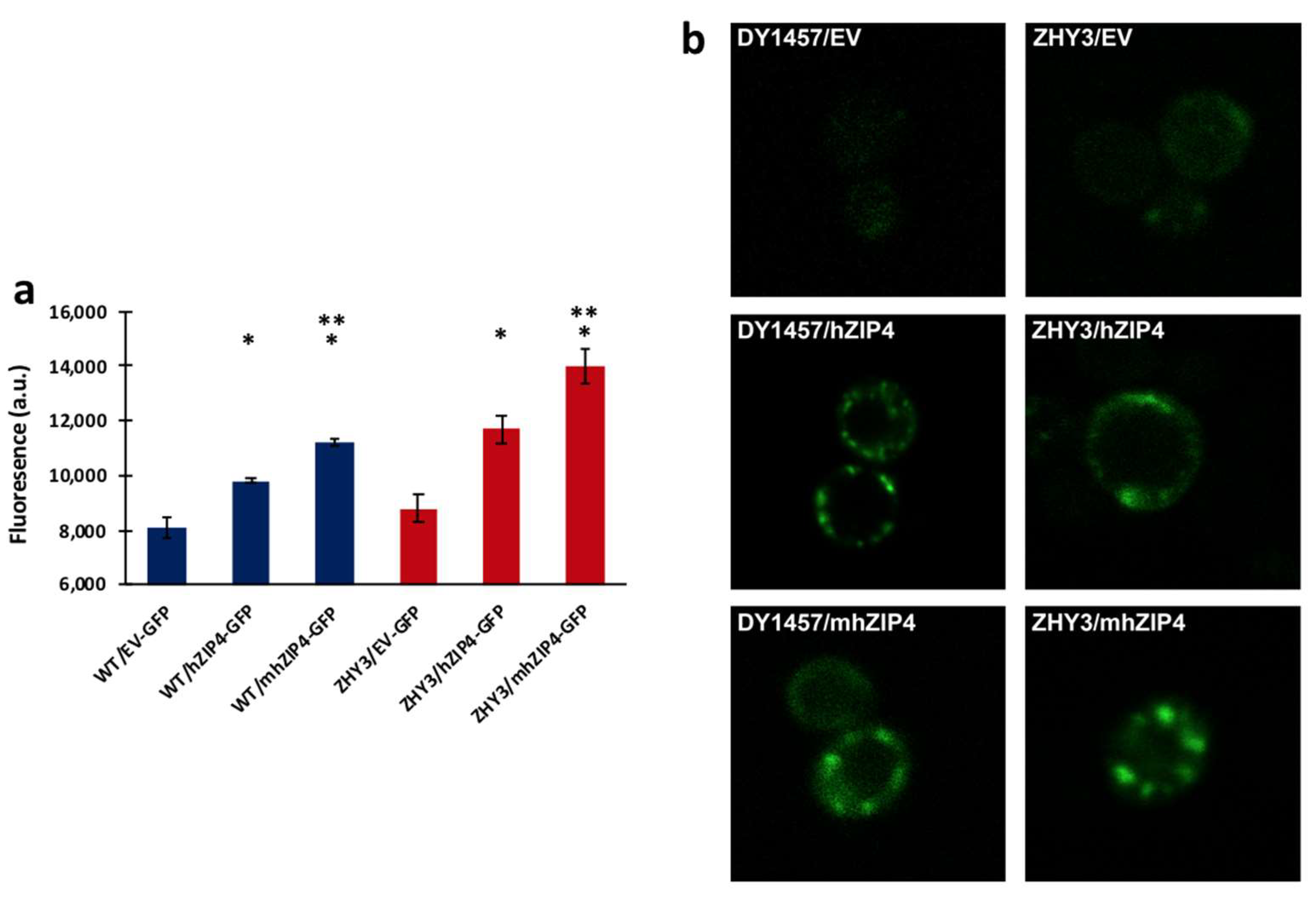Biomolecules 12 00726 g003 Biomolecules 12 00726 g003