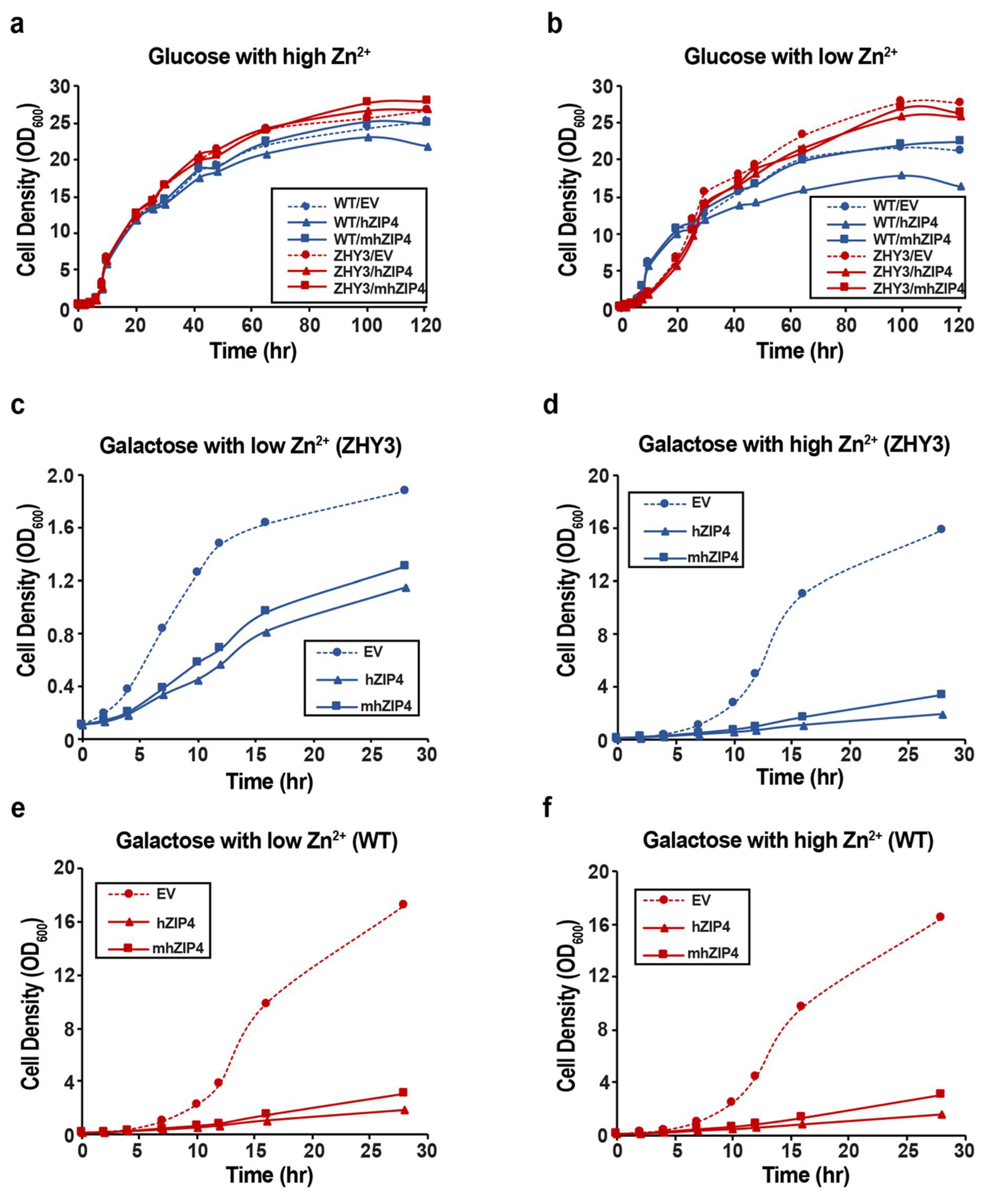 Biomolecules 12 00726 g004 Biomolecules 12 00726 g004