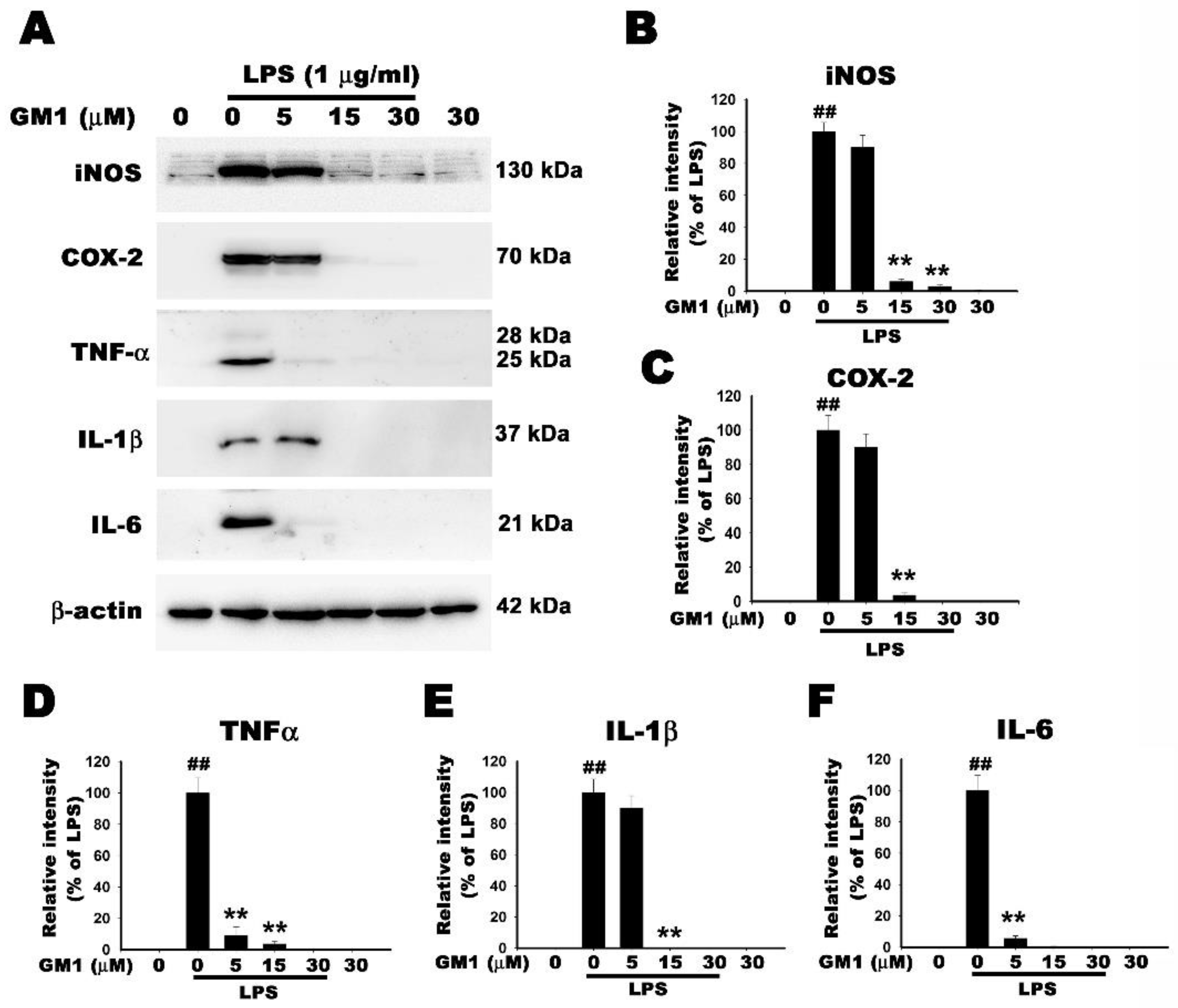 Biomolecules 12 00727 g007 Biomolecules 12 00727 g007