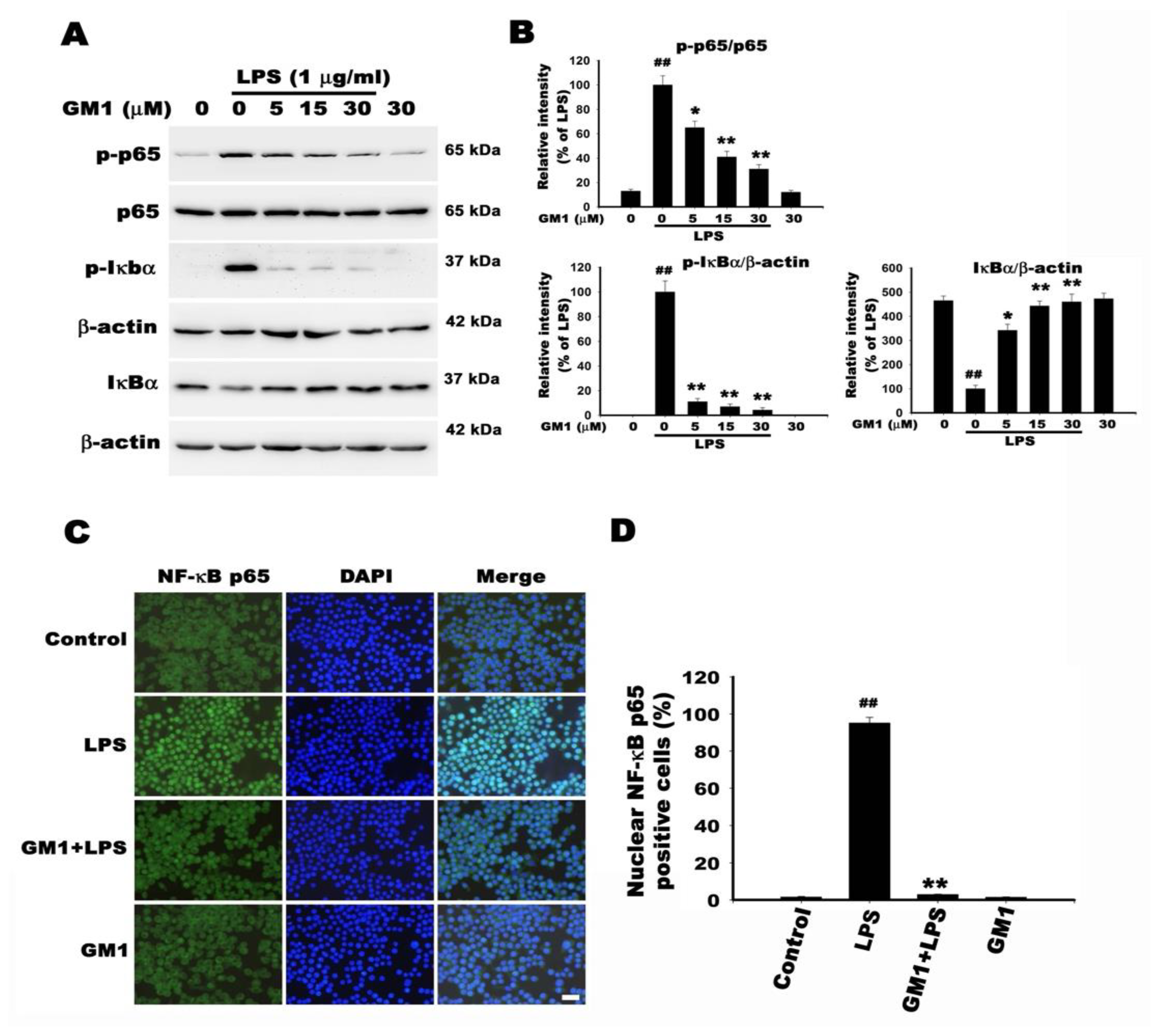 Biomolecules 12 00727 g008 Biomolecules 12 00727 g008