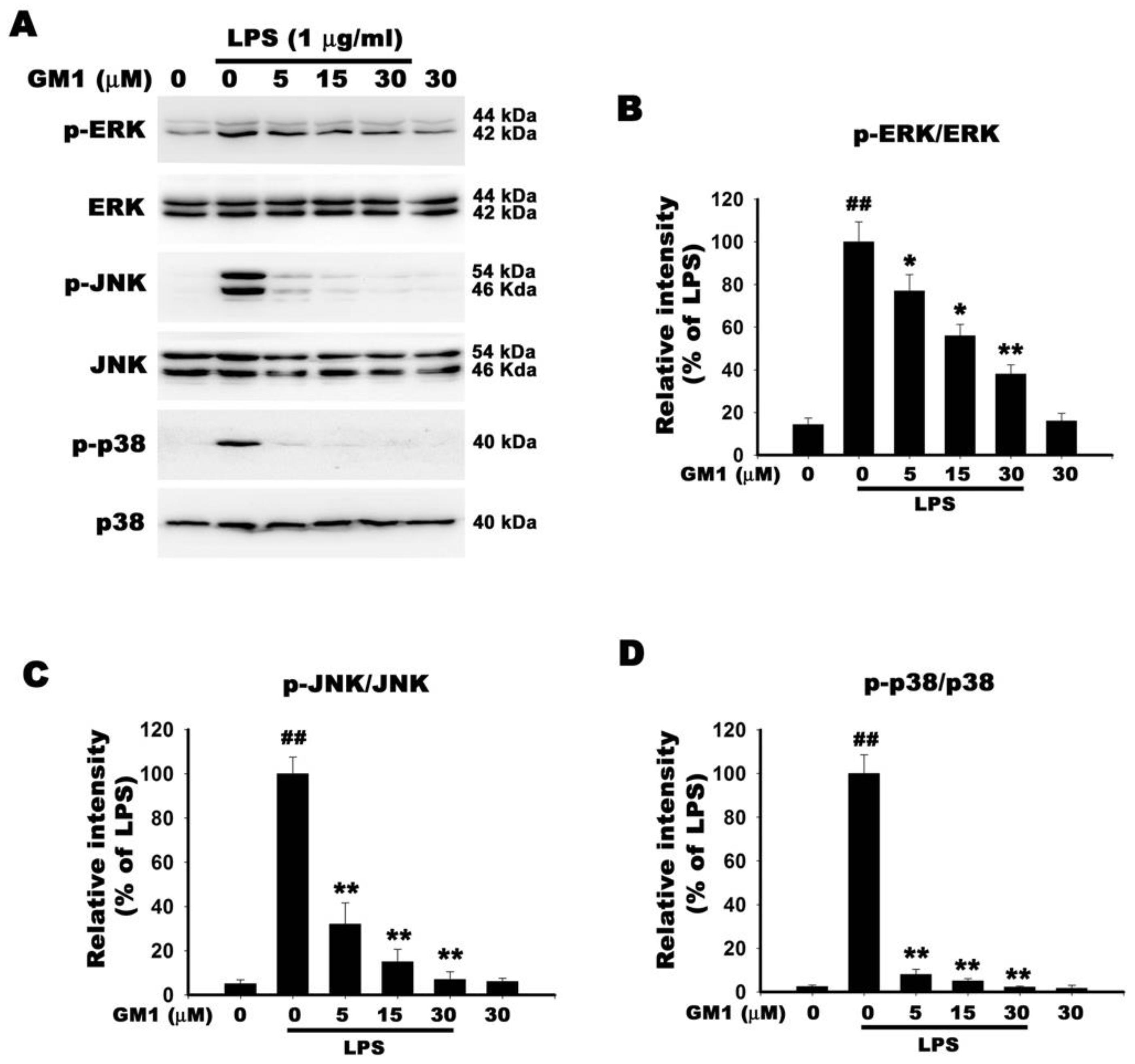 Biomolecules 12 00727 g009 Biomolecules 12 00727 g009