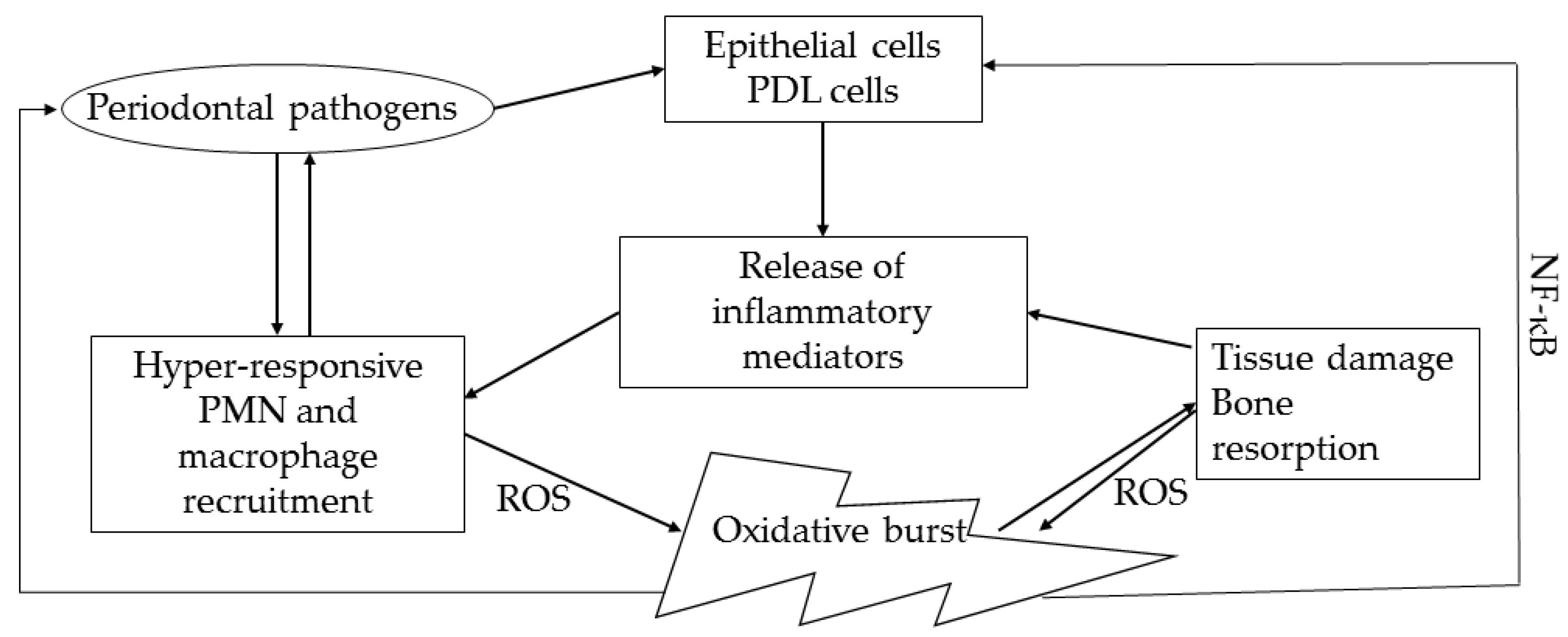 Biomolecules 12 00729 g002 Biomolecules 12 00729 g002