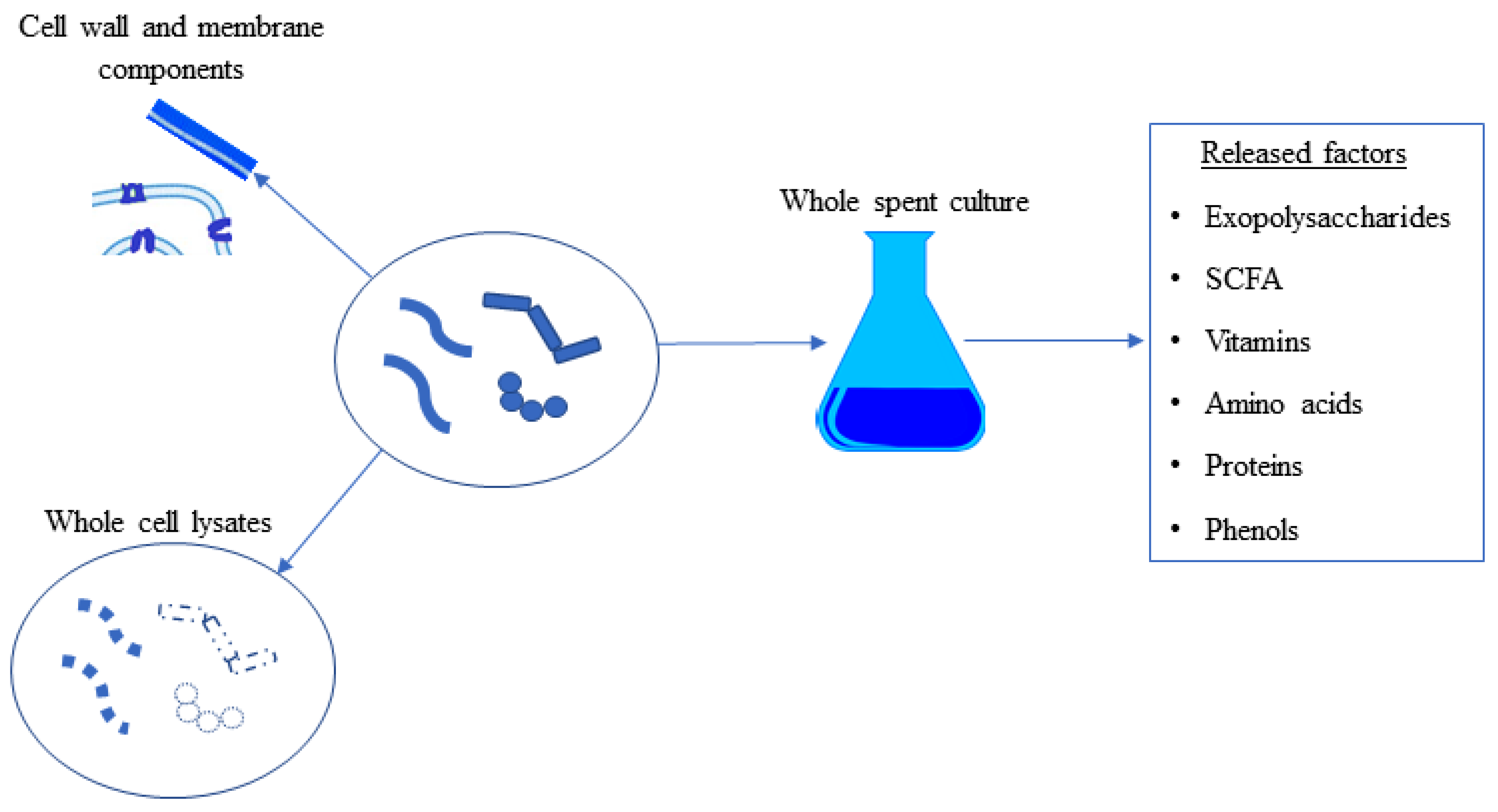 Biomolecules 12 00729 g003 Biomolecules 12 00729 g003