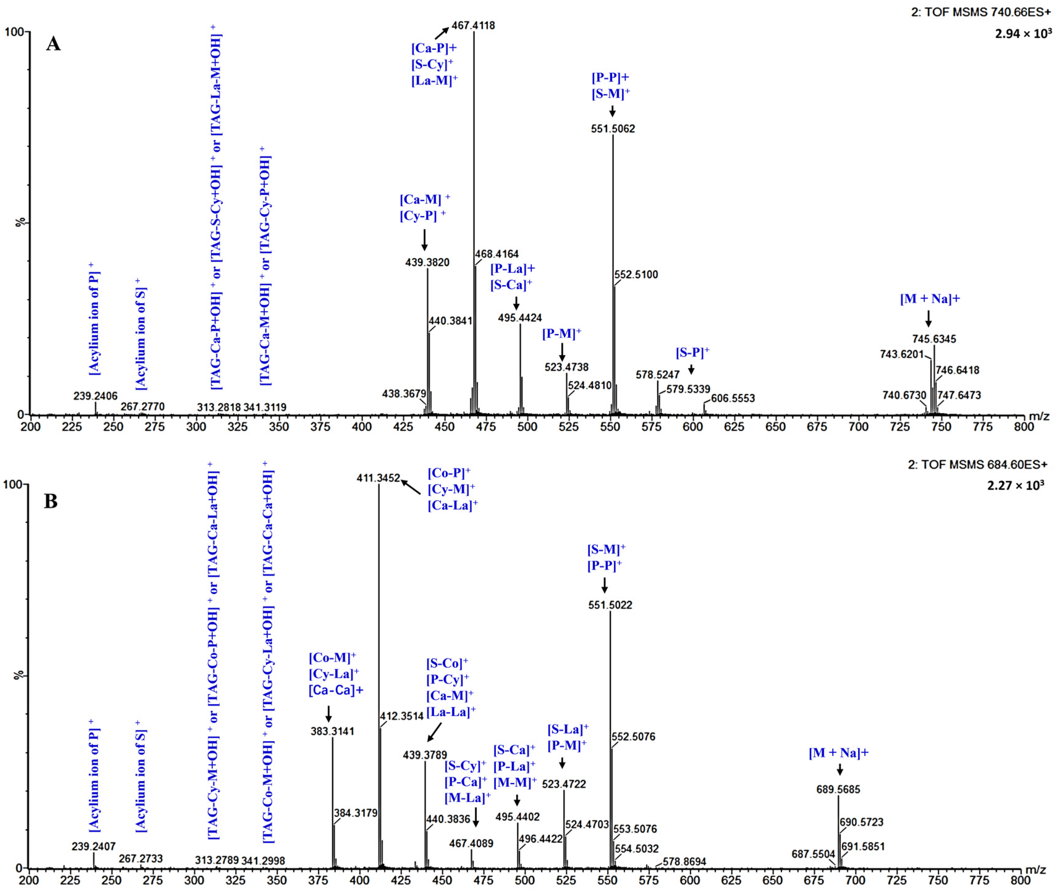 Biomolecules 12 00730 g002