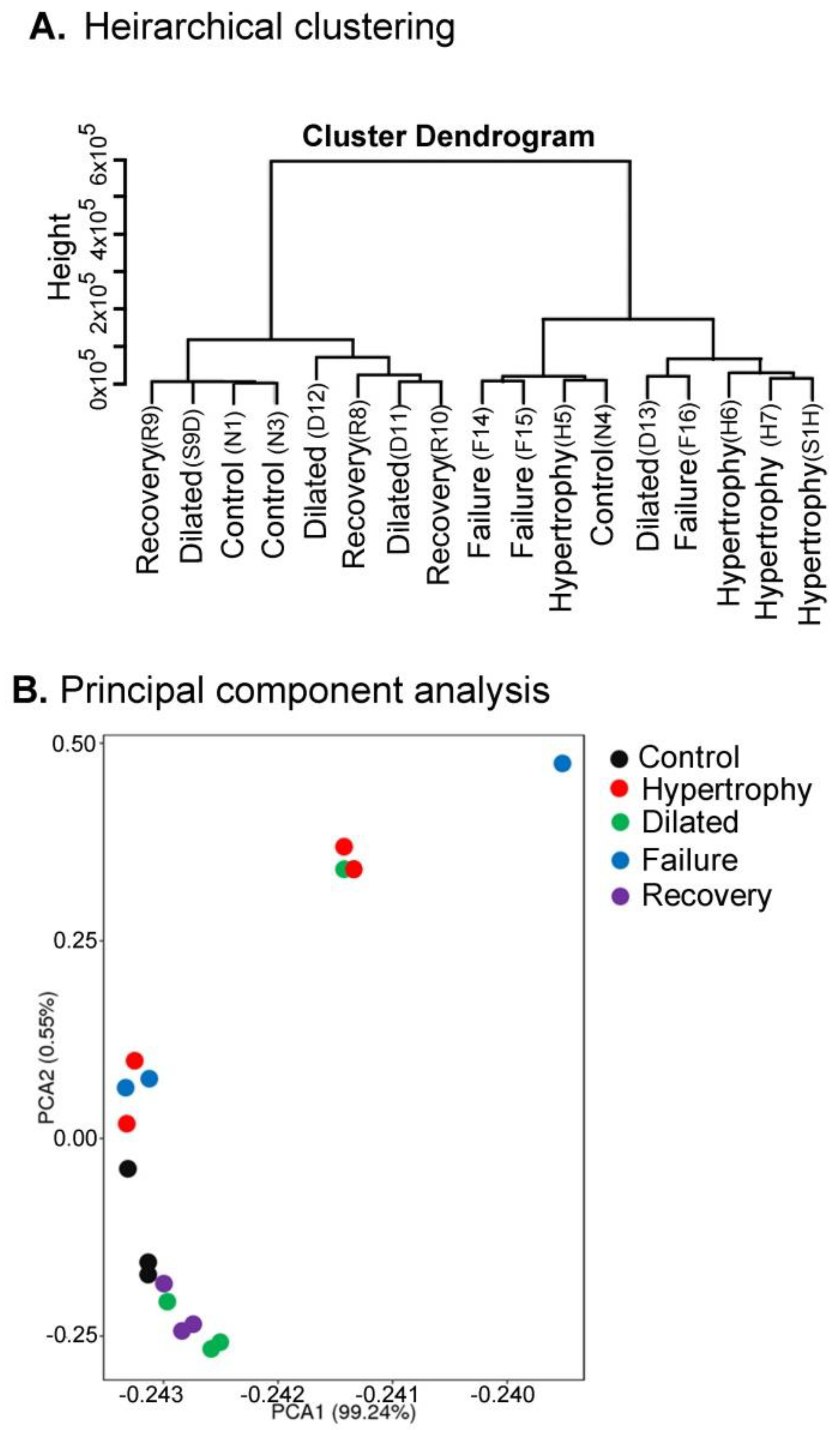 Biomolecules 12 00731 g001 Biomolecules 12 00731 g001