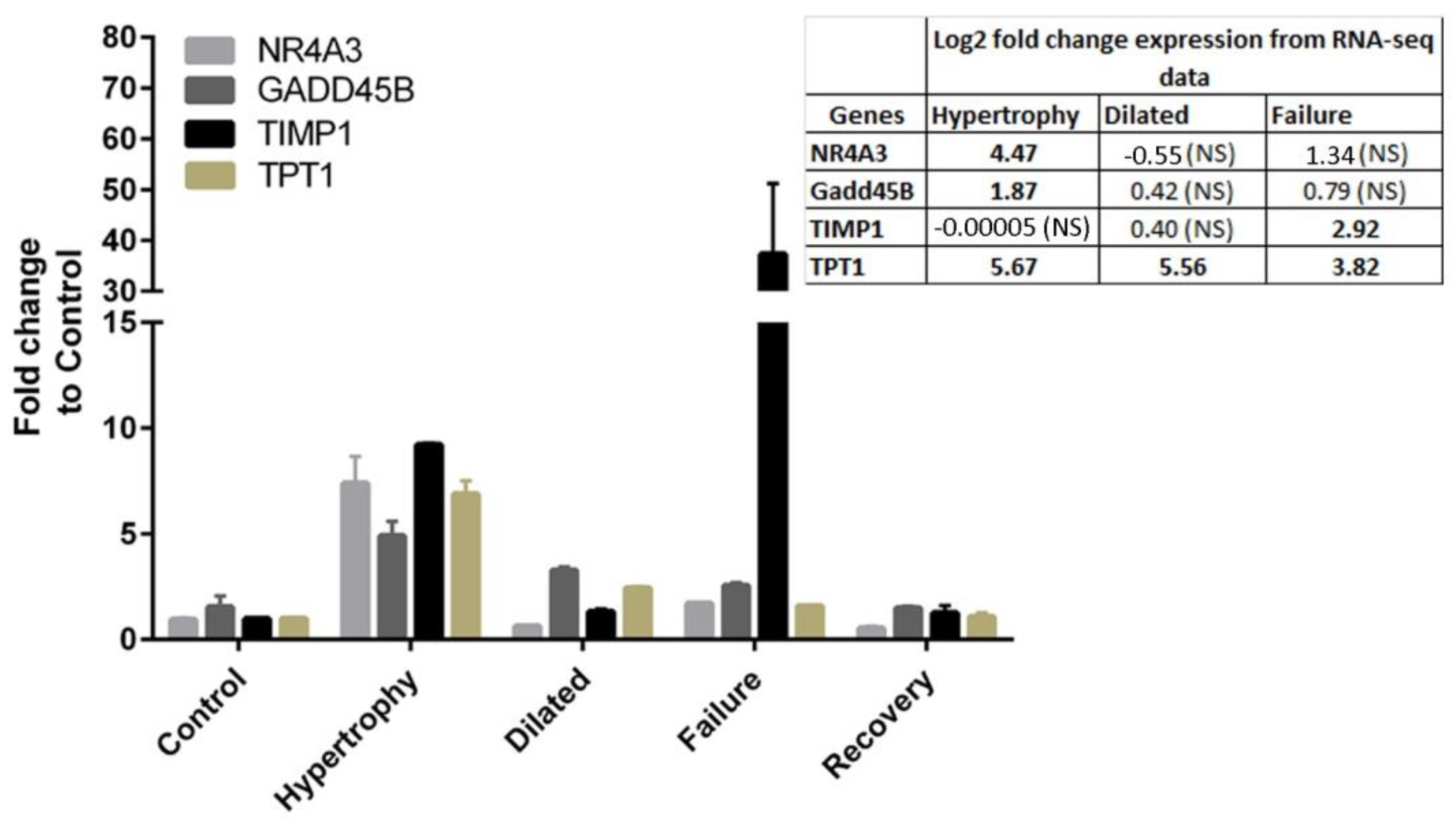 Biomolecules 12 00731 g003 Biomolecules 12 00731 g003