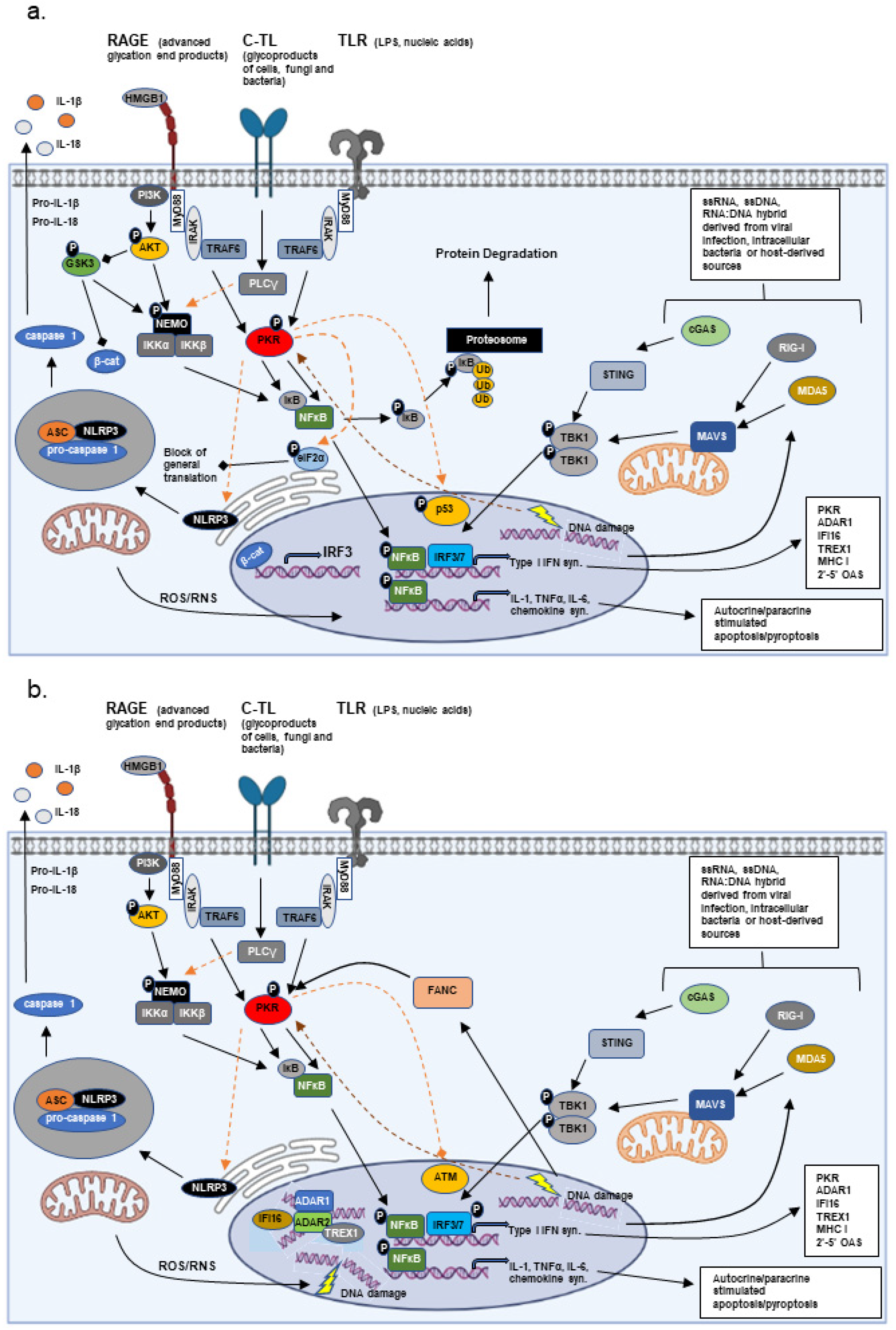 Biomolecules 12 00737 g001