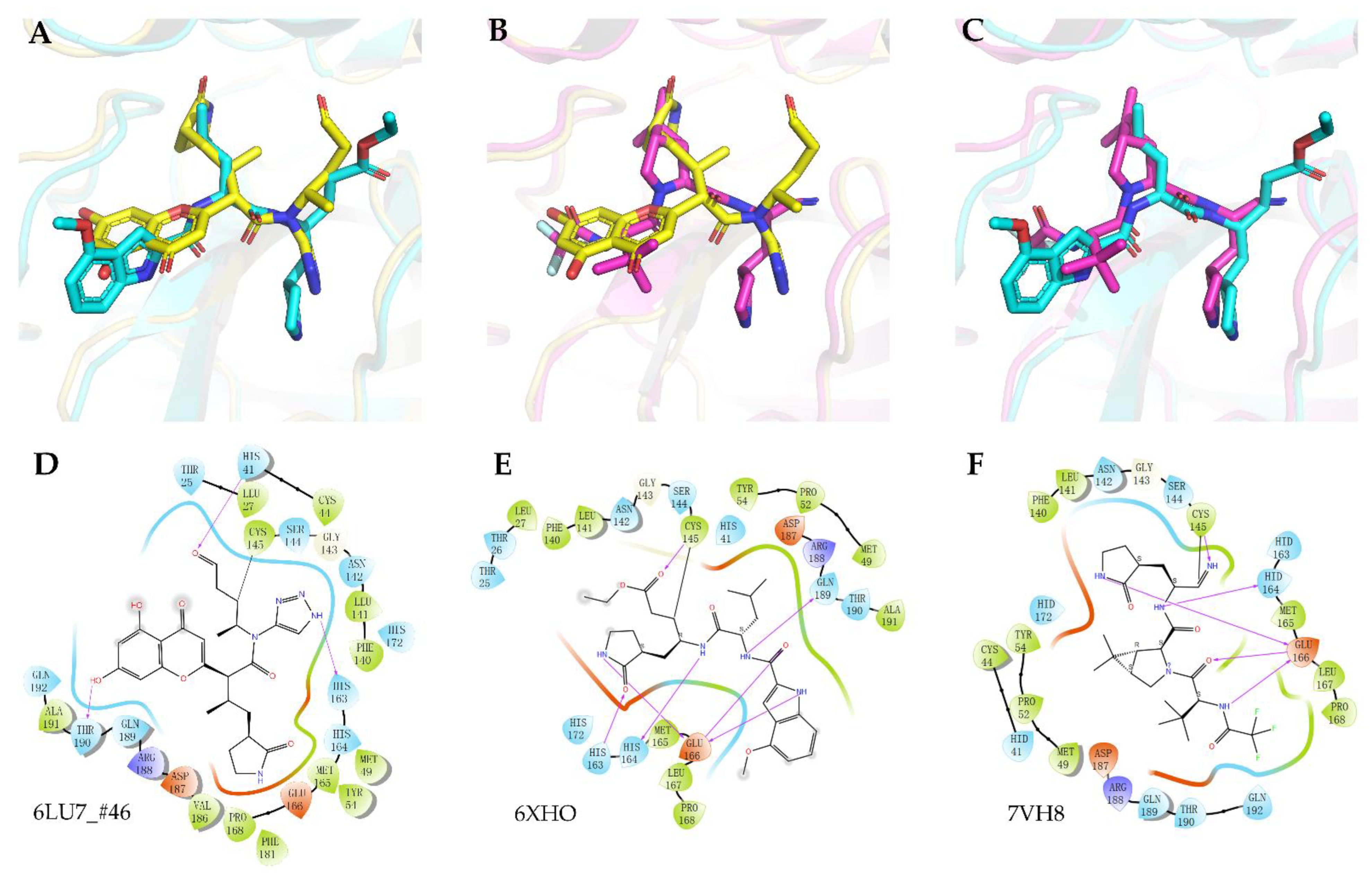 Biomolecules 12 00746 g004 Biomolecules 12 00746 g004