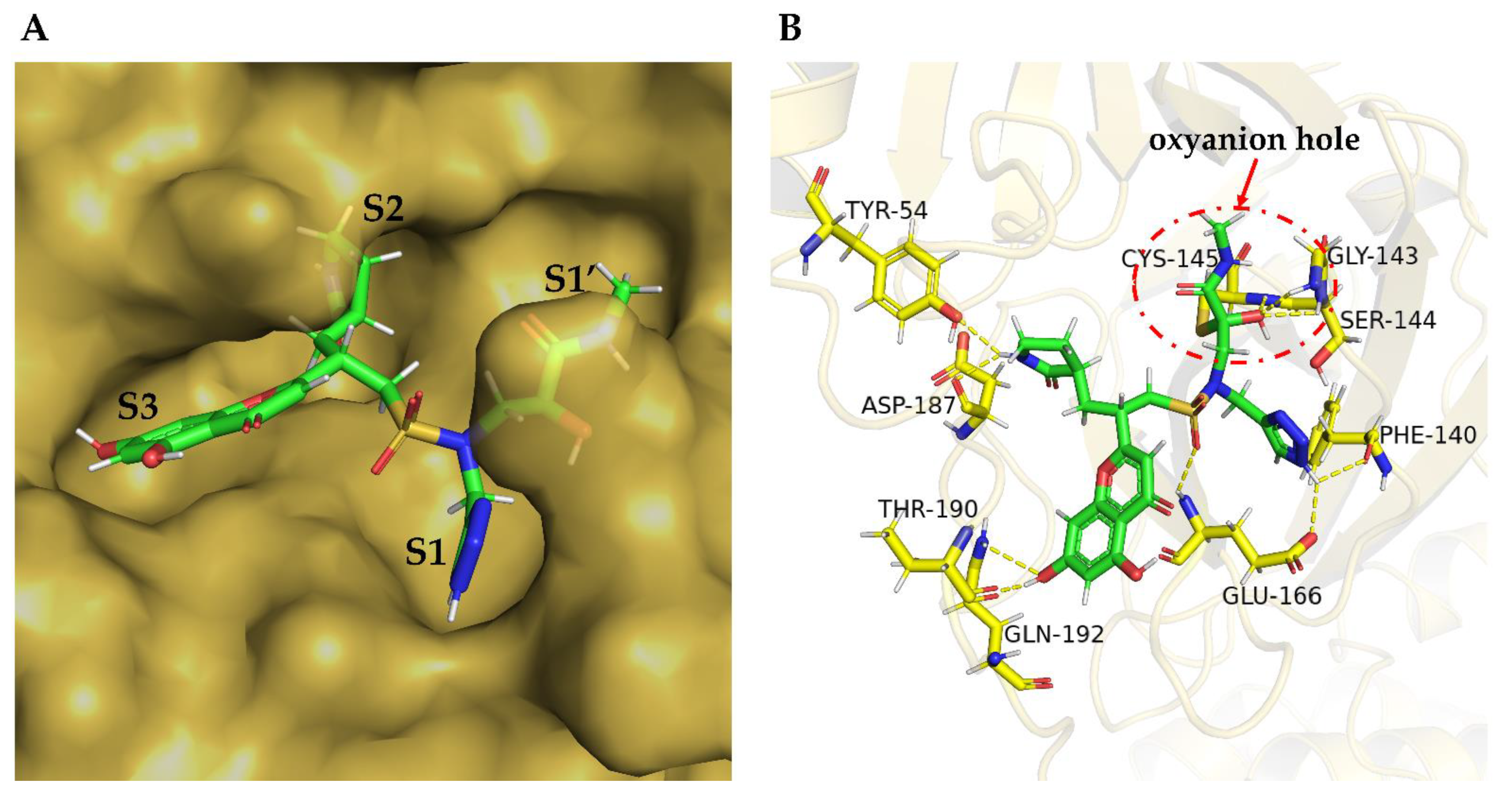 Biomolecules 12 00746 g006 Biomolecules 12 00746 g006