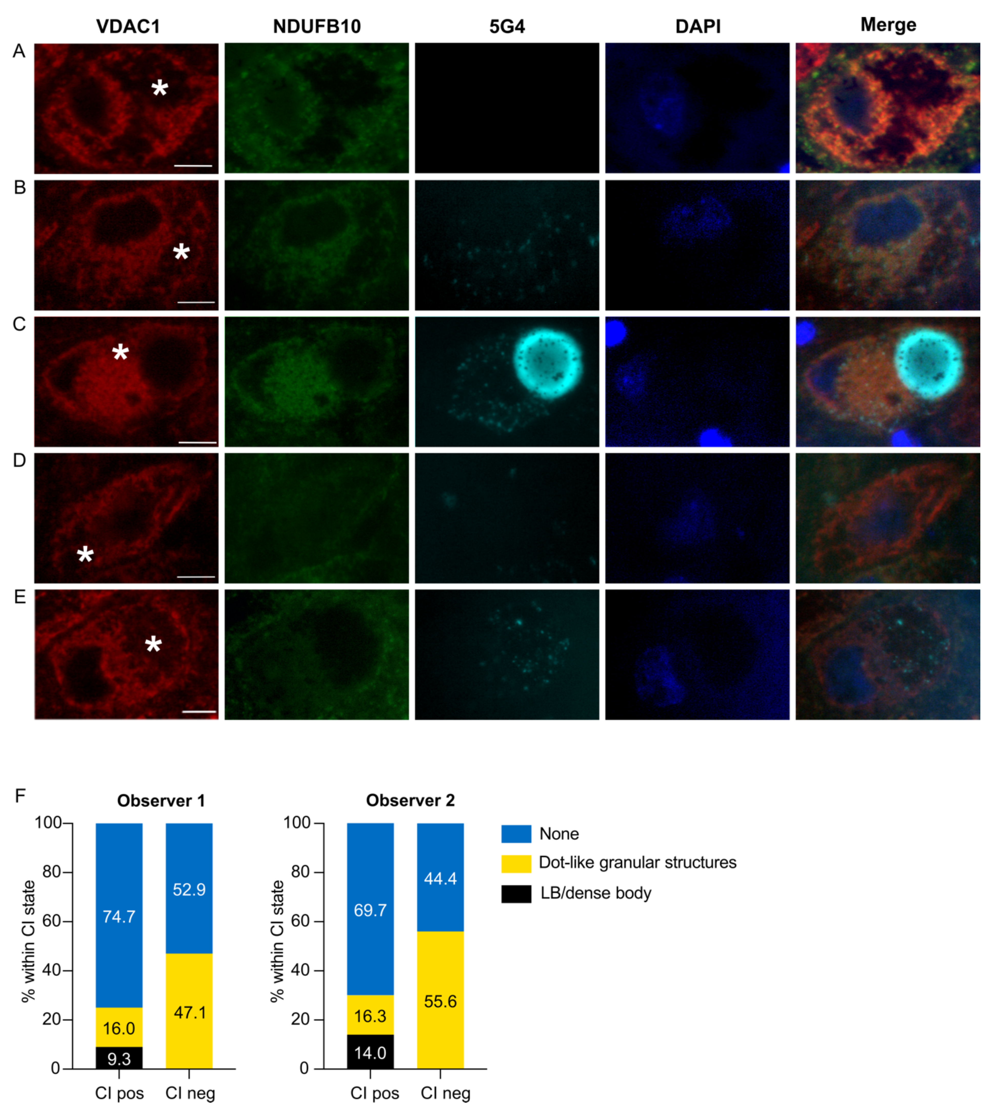 Biomolecules 12 00747 g002 Biomolecules 12 00747 g002