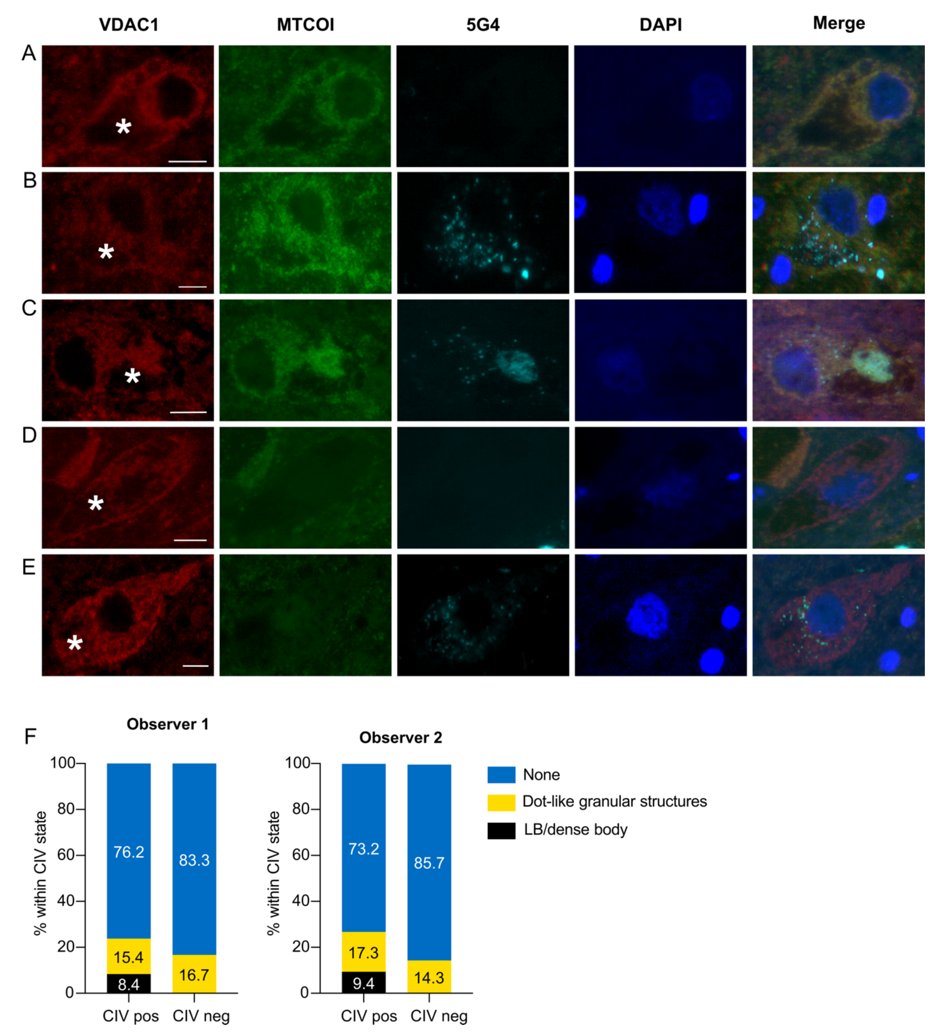 Biomolecules 12 00747 g003 Biomolecules 12 00747 g003