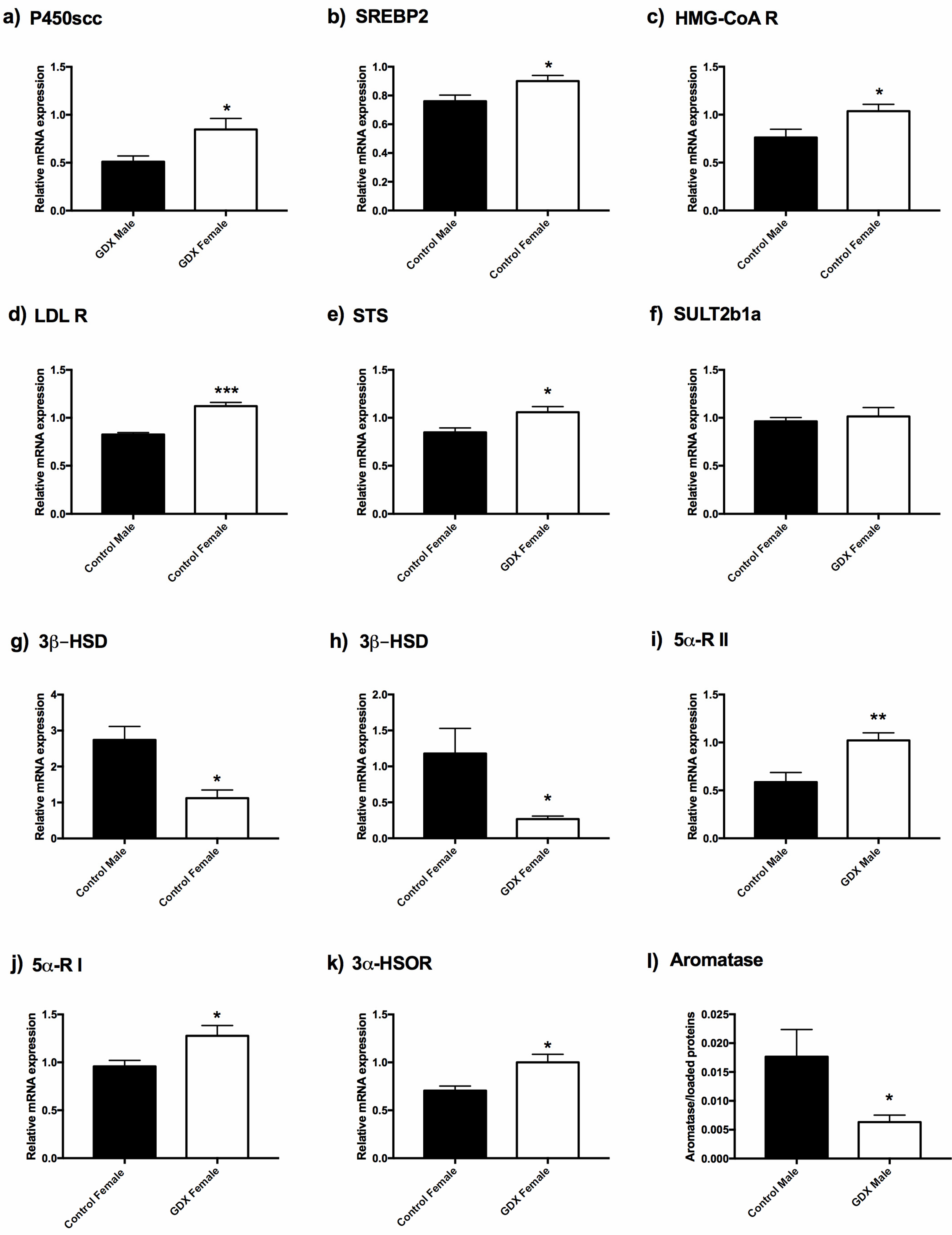 Biomolecules 12 00767 g002 Biomolecules 12 00767 g002