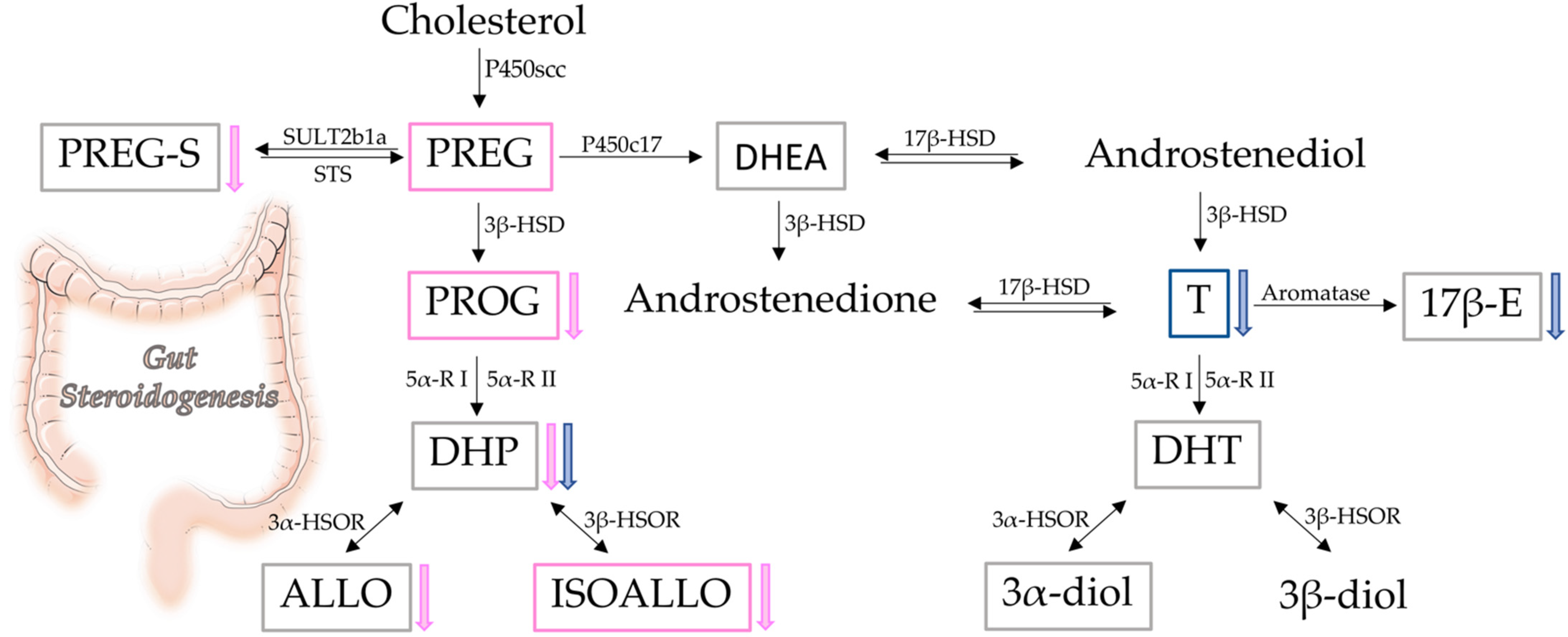 Biomolecules 12 00767 g008 Biomolecules 12 00767 g008