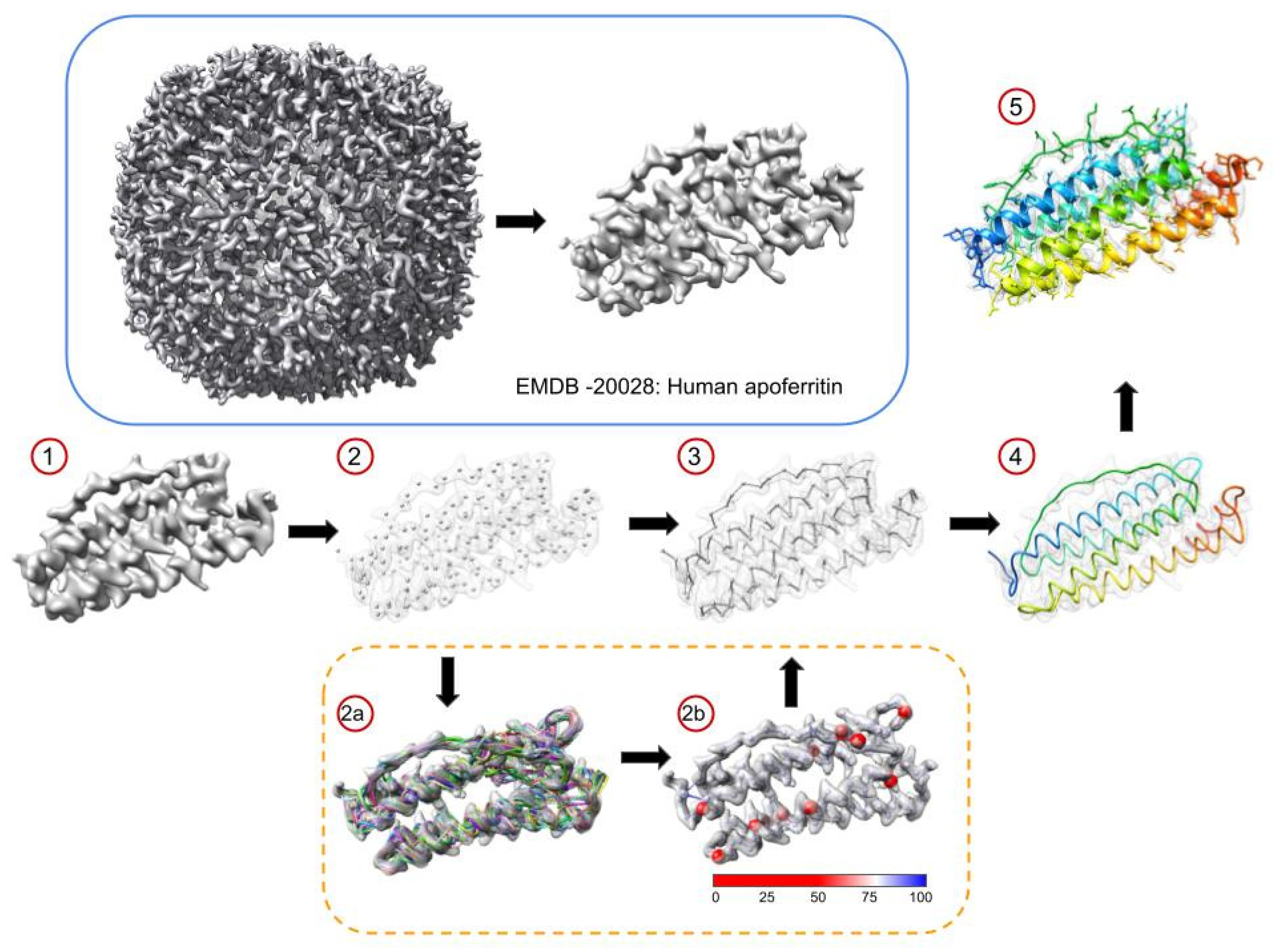 Biomolecules 12 00773 g001