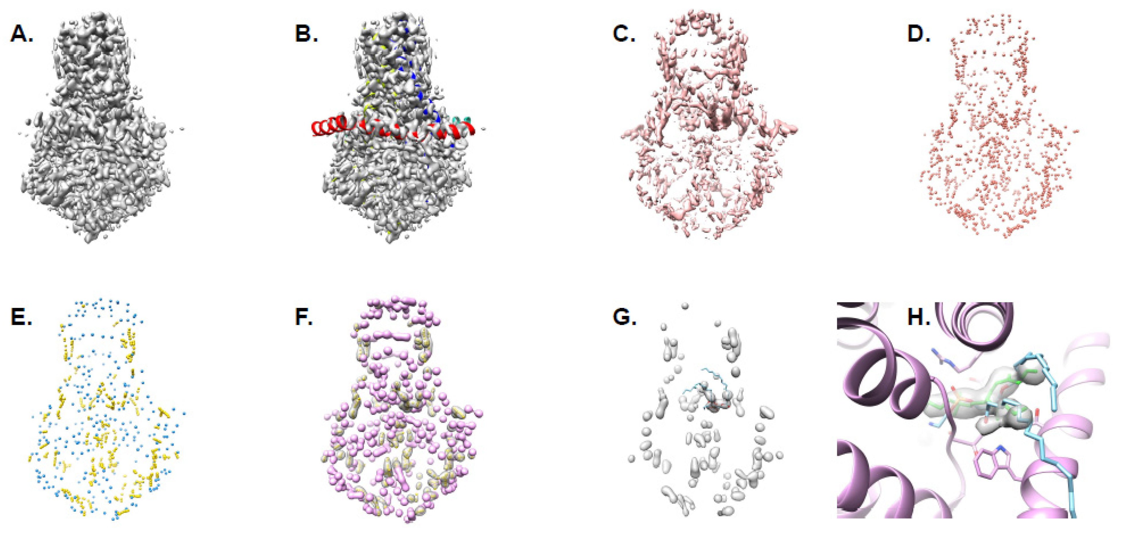 Biomolecules 12 00773 g002