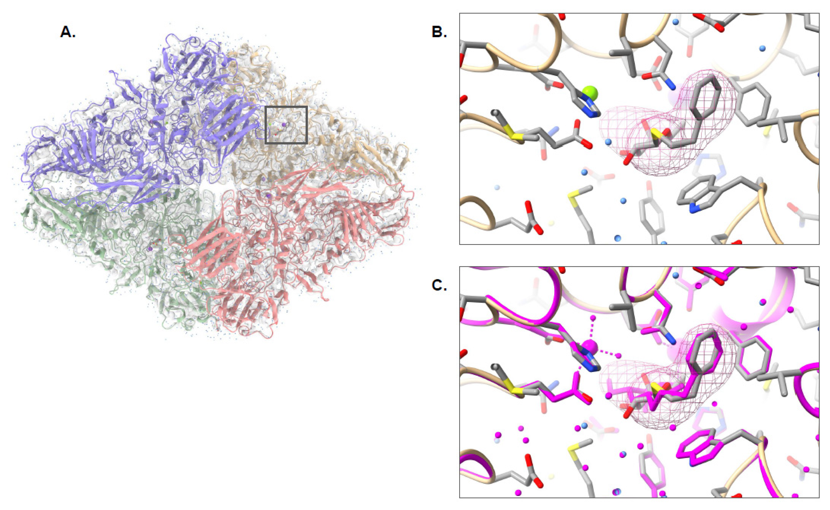Biomolecules 12 00773 g004