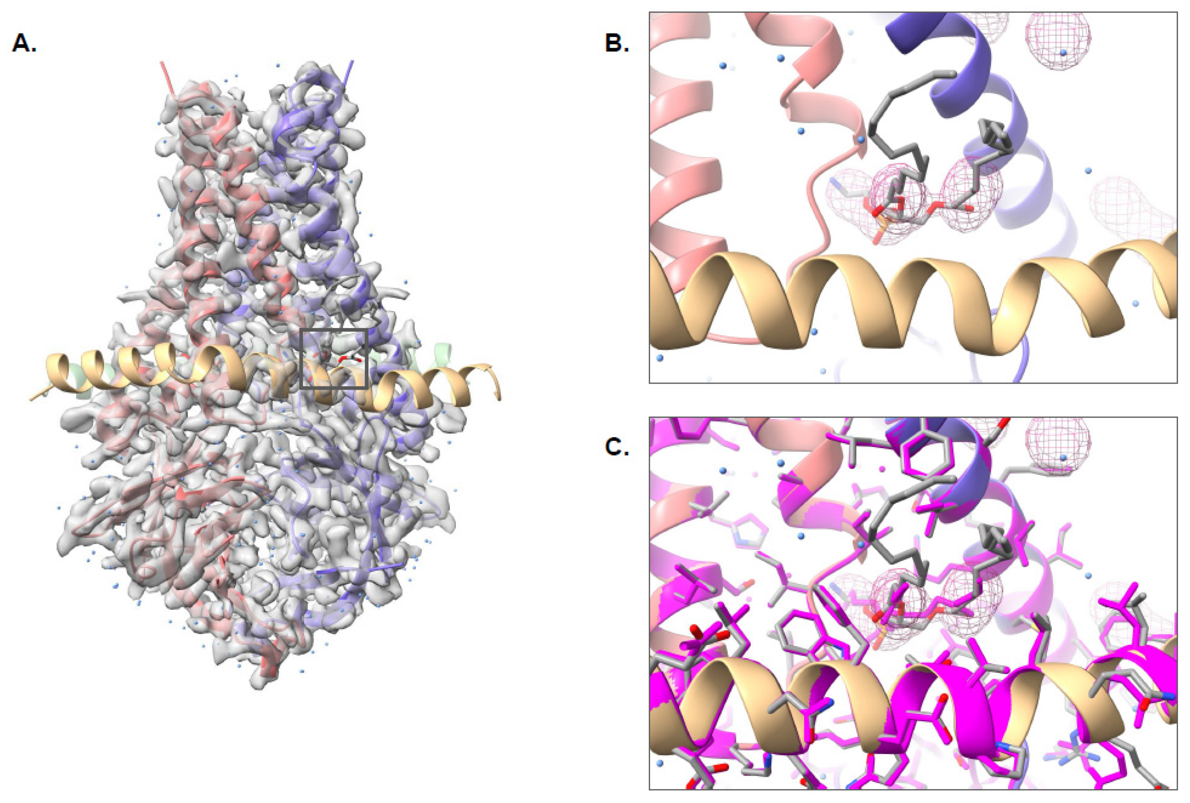 Biomolecules 12 00773 g005