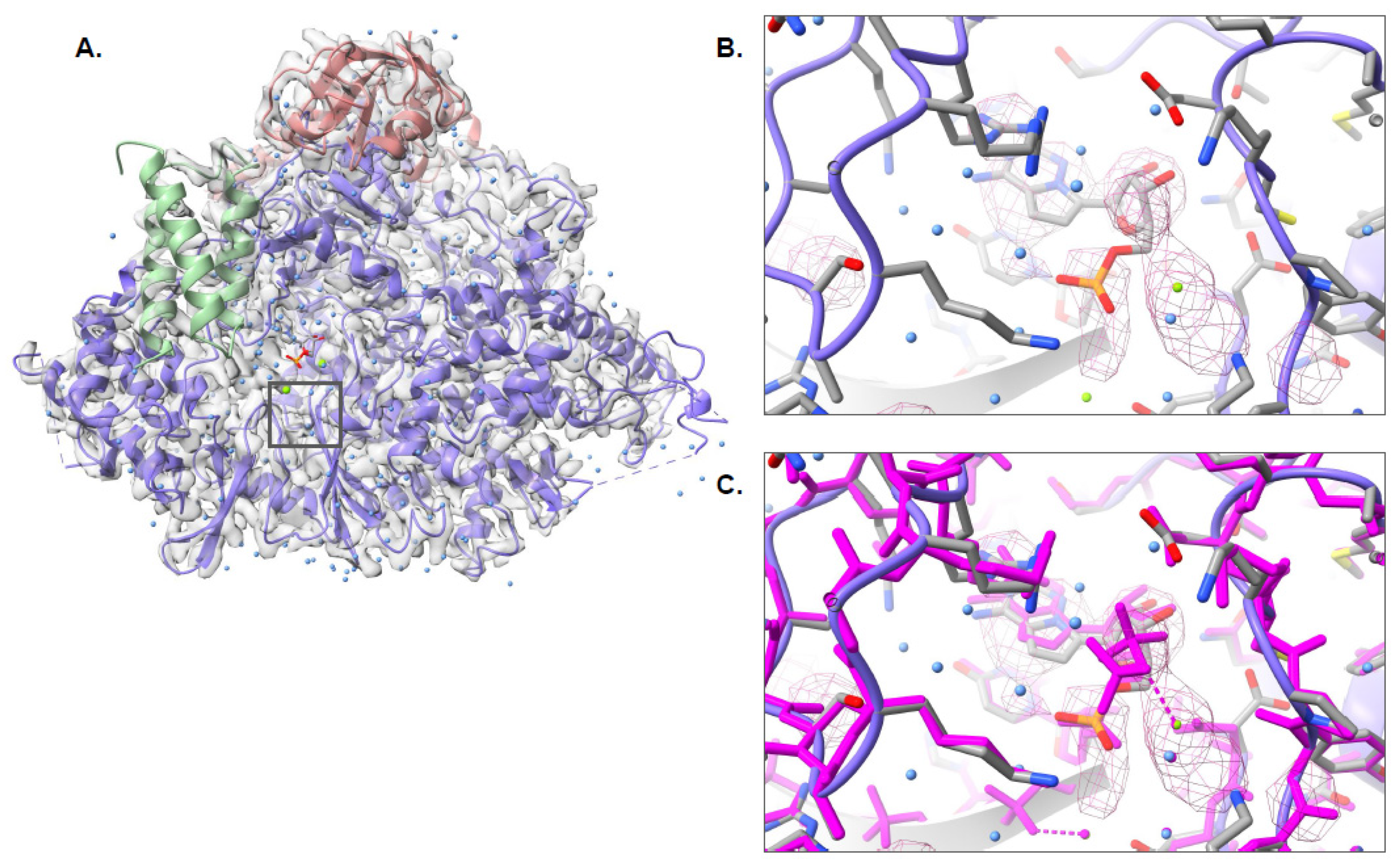 Biomolecules 12 00773 g006