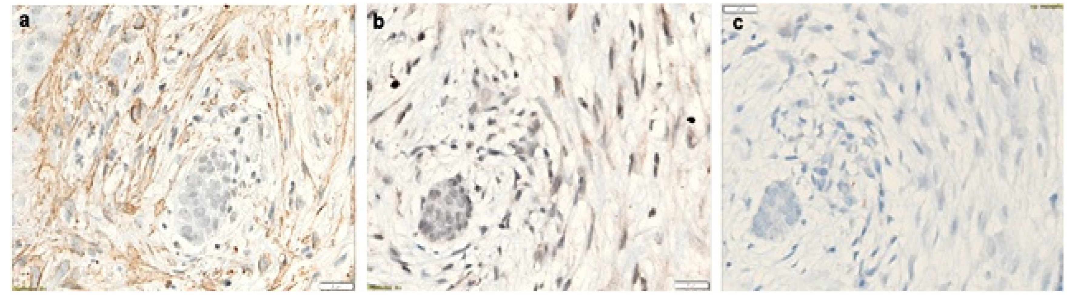 Biomolecules 12 00775 g003