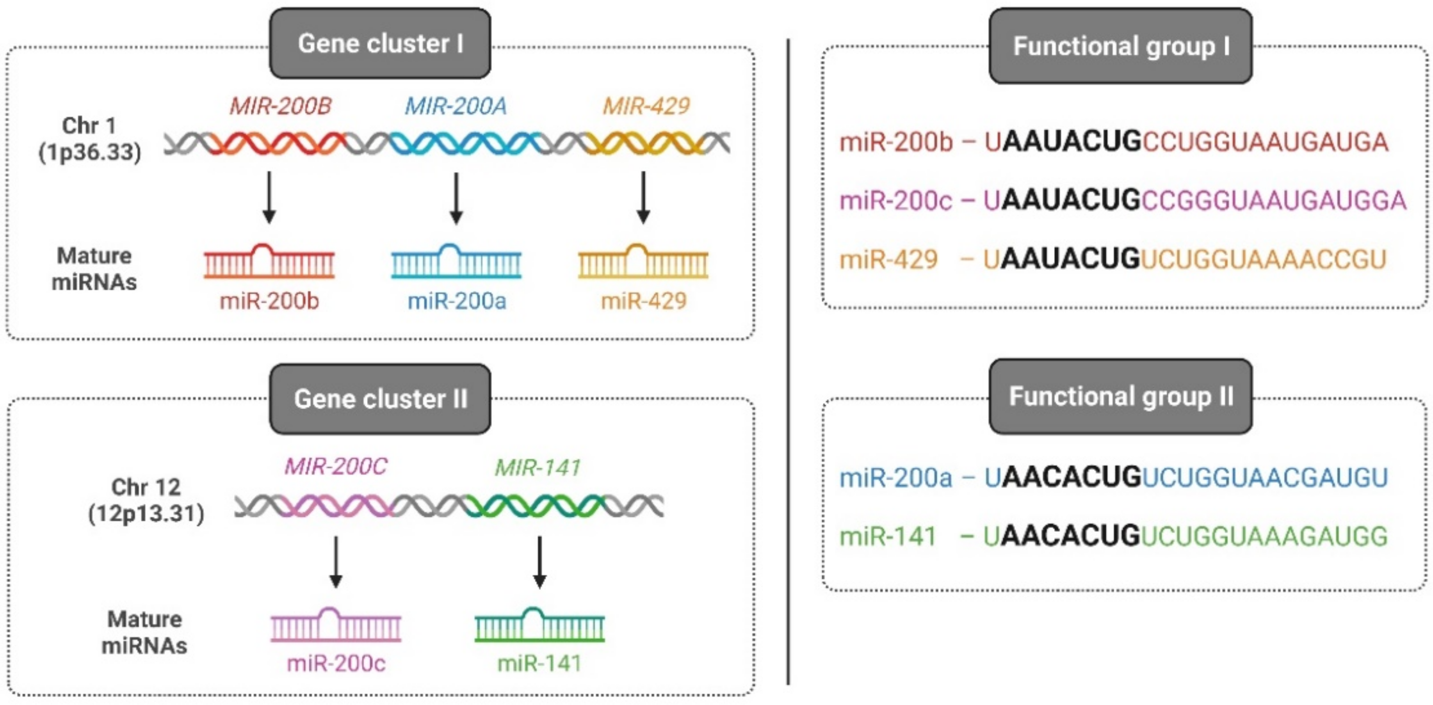 Biomolecules 12 00781 g002