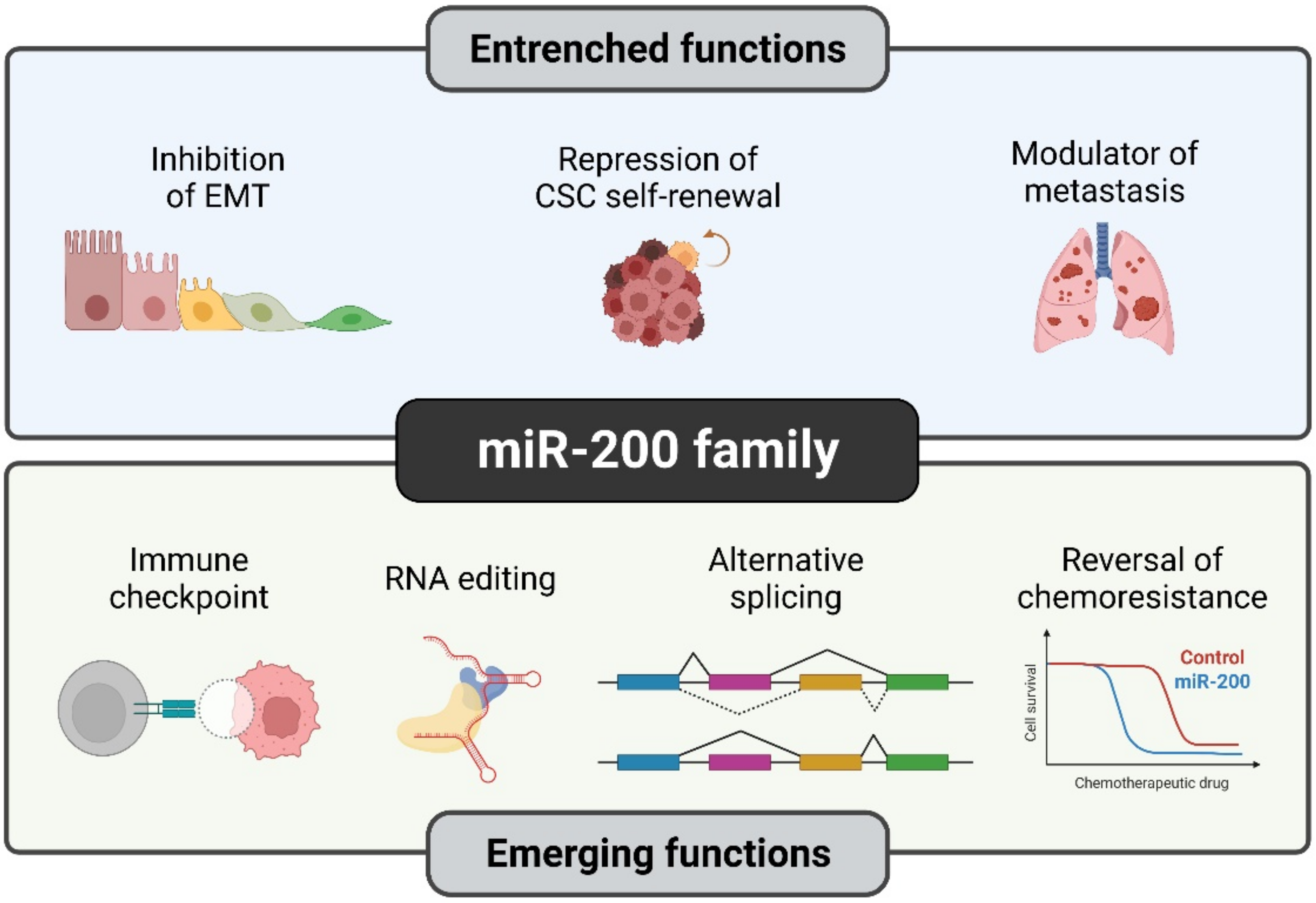 Biomolecules 12 00781 g003