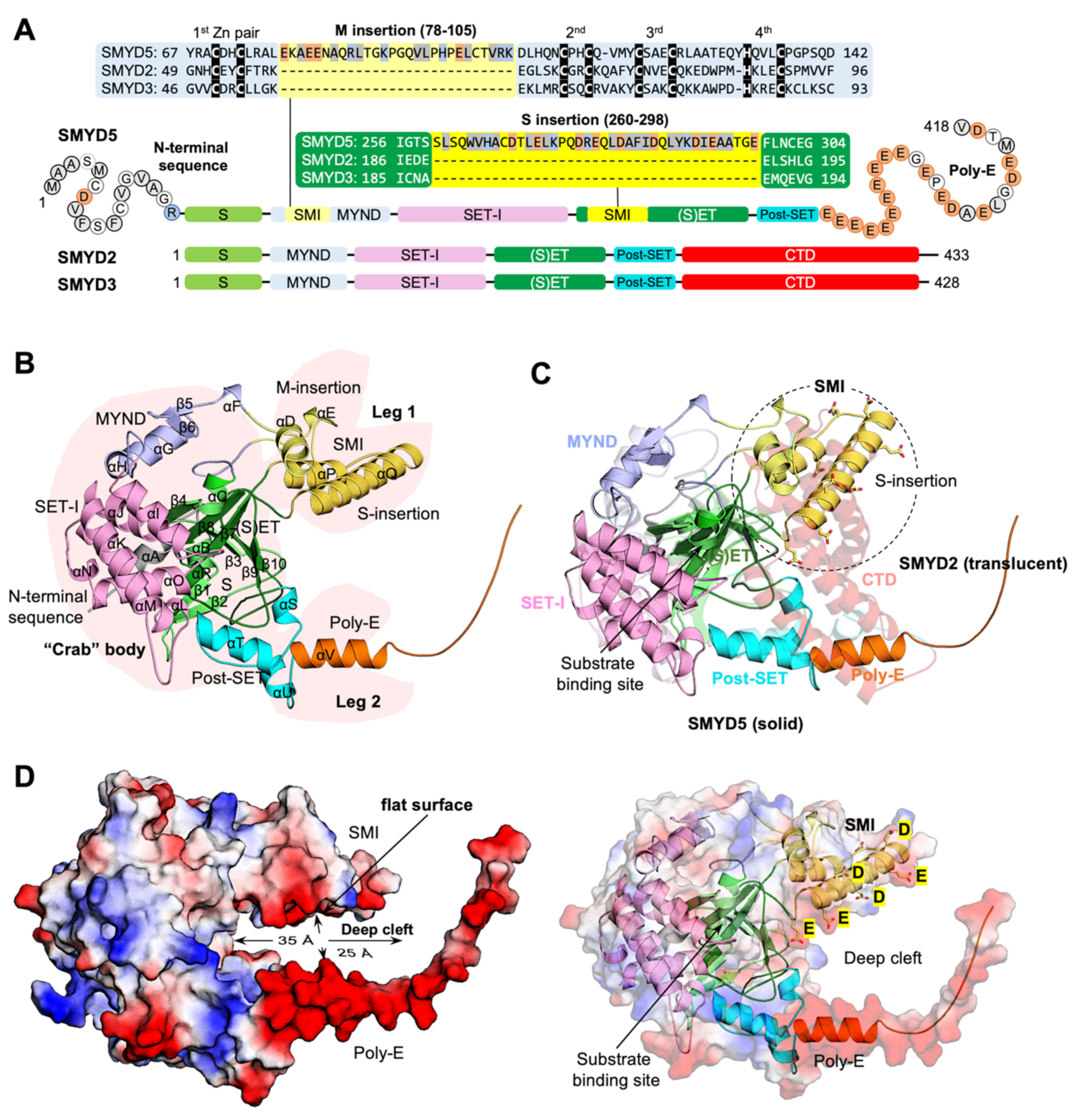 Biomolecules 12 00783 g003 Biomolecules 12 00783 g003