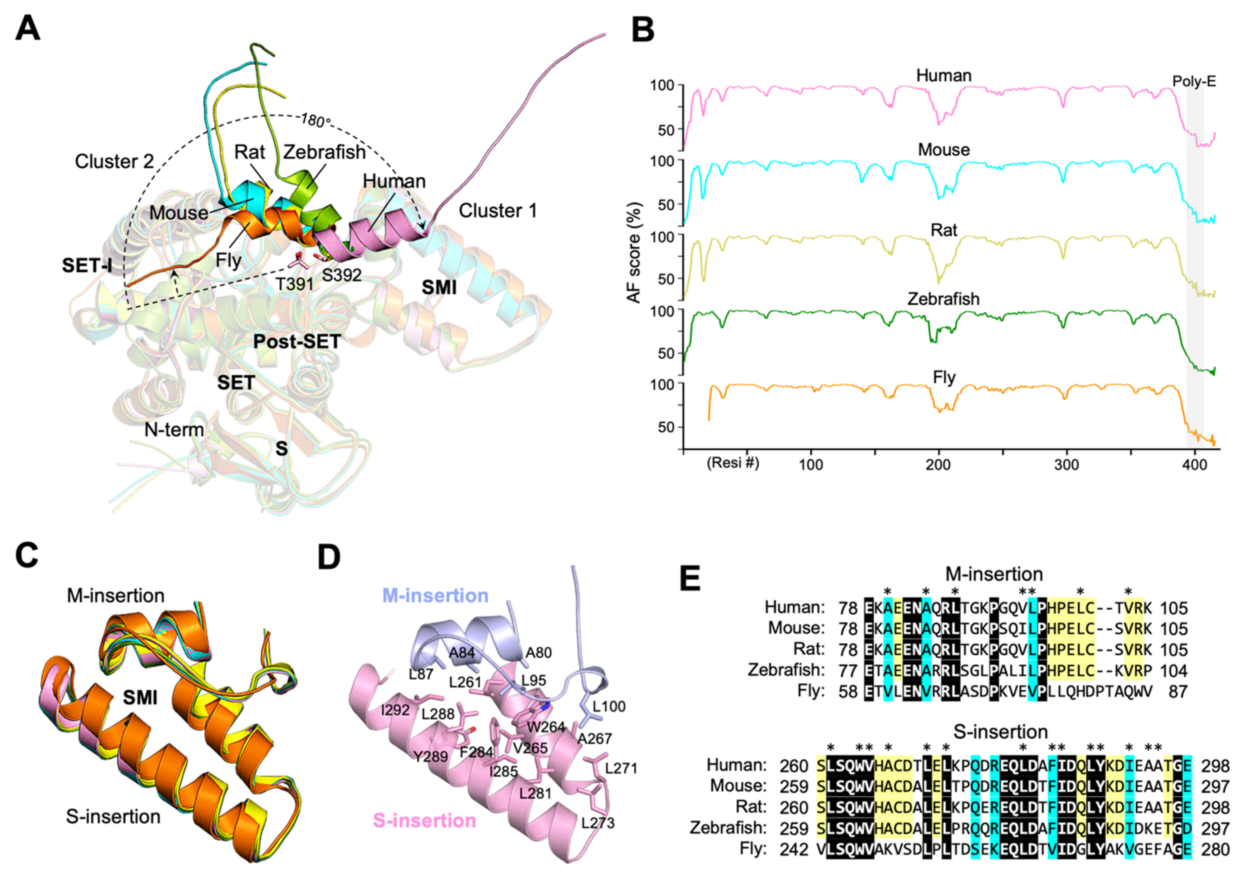 Biomolecules 12 00783 g004 Biomolecules 12 00783 g004