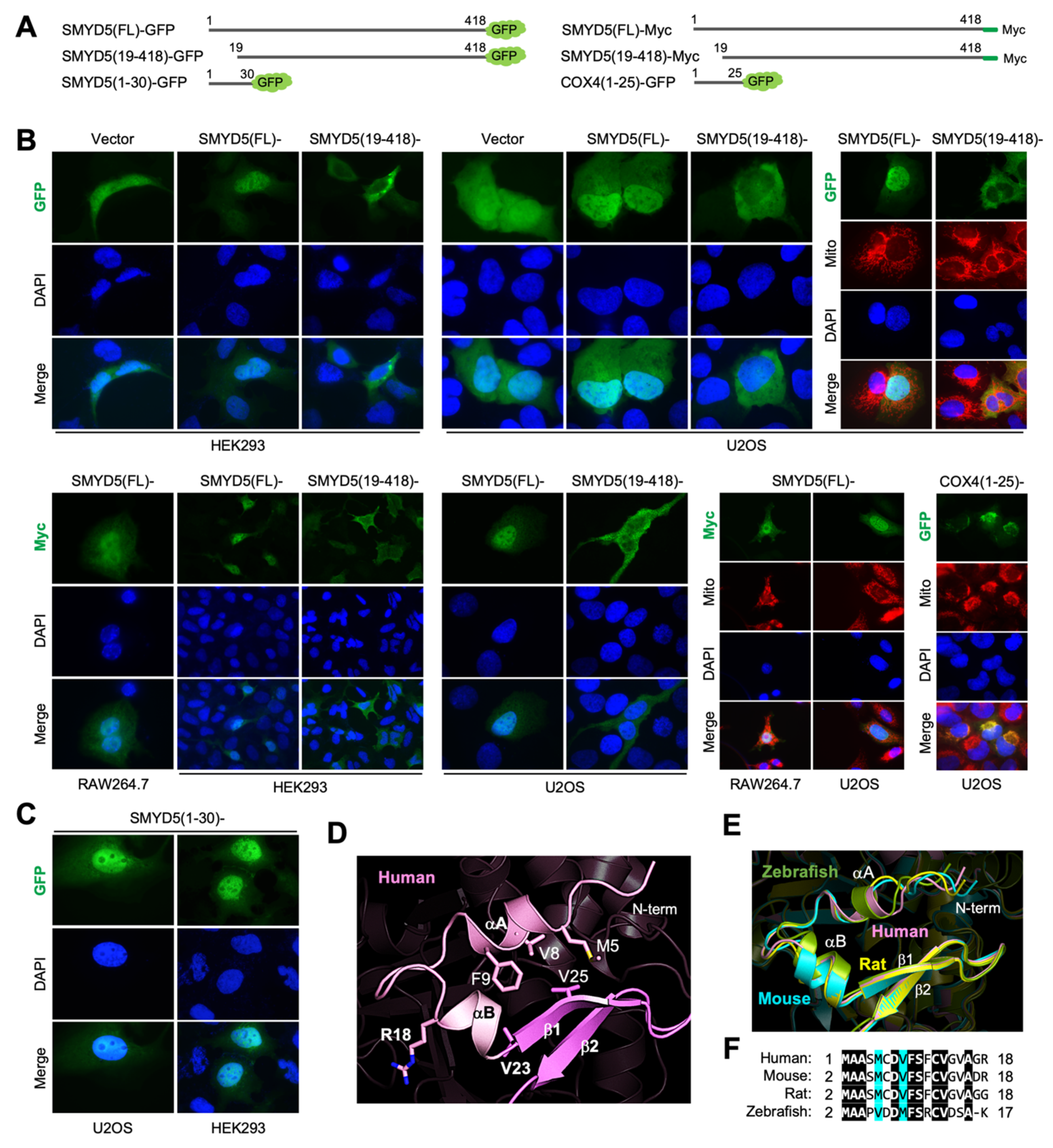 Biomolecules 12 00783 g005 Biomolecules 12 00783 g005