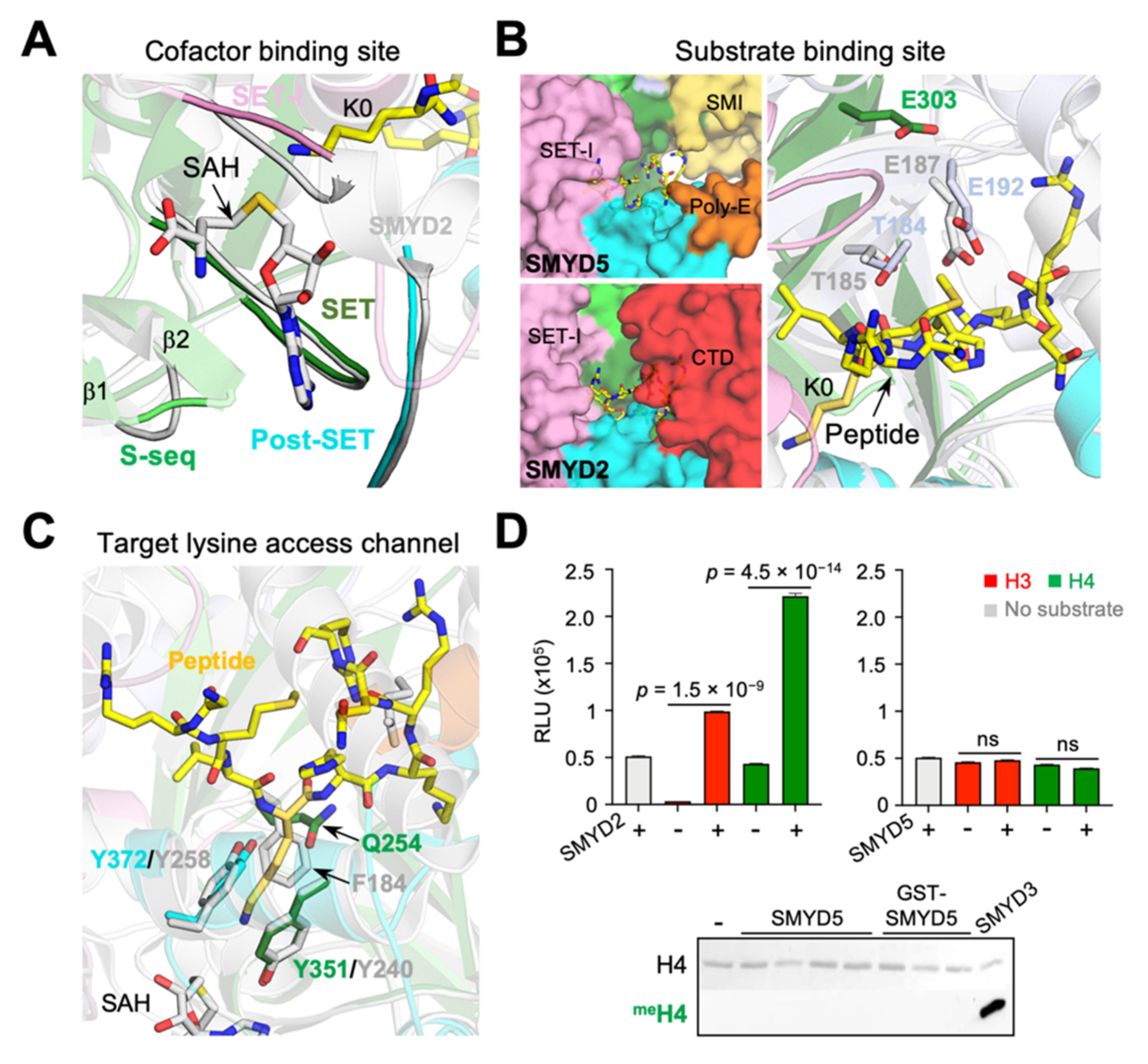 Biomolecules 12 00783 g009 Biomolecules 12 00783 g009
