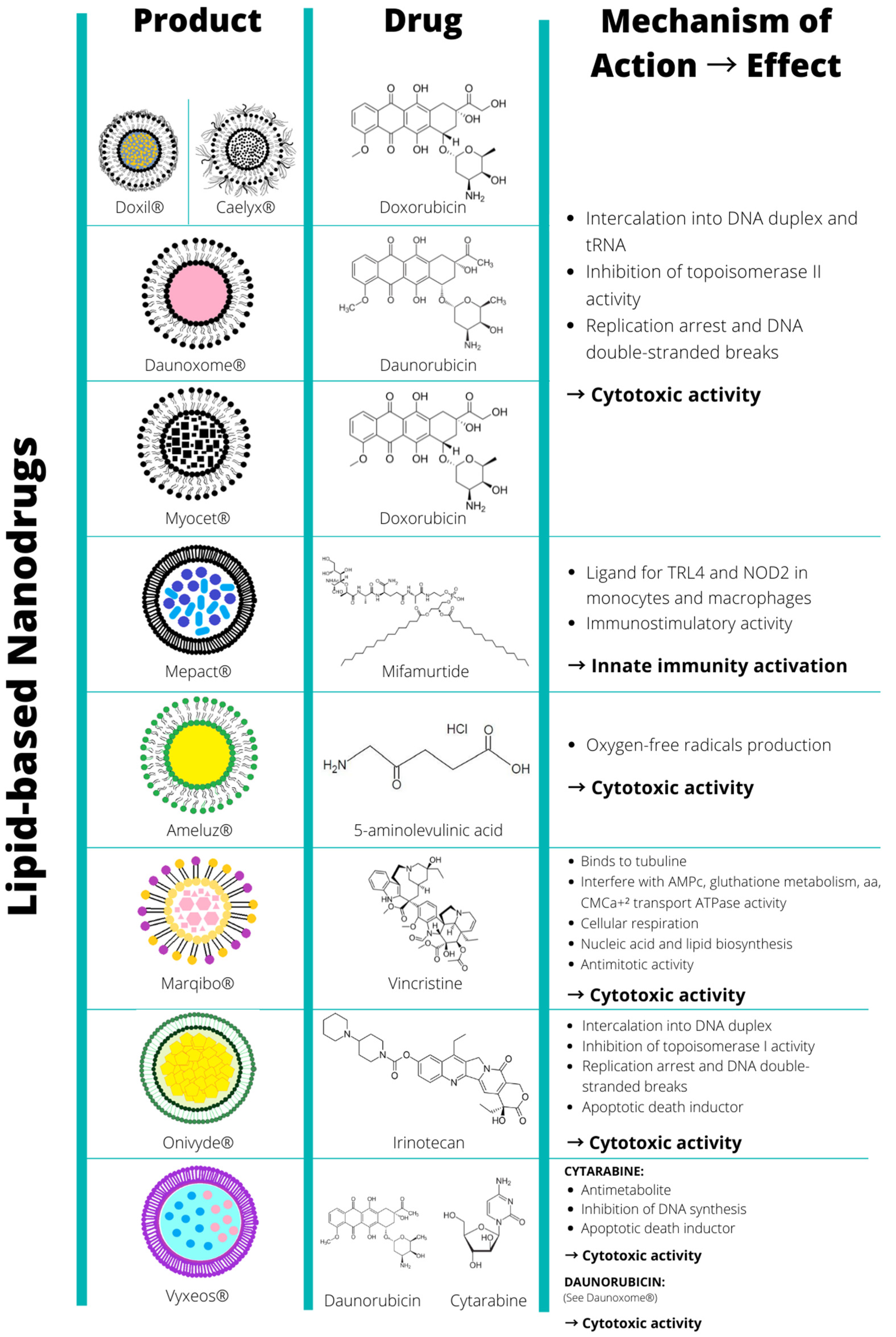Biomolecules 12 00784 g001 Biomolecules 12 00784 g001