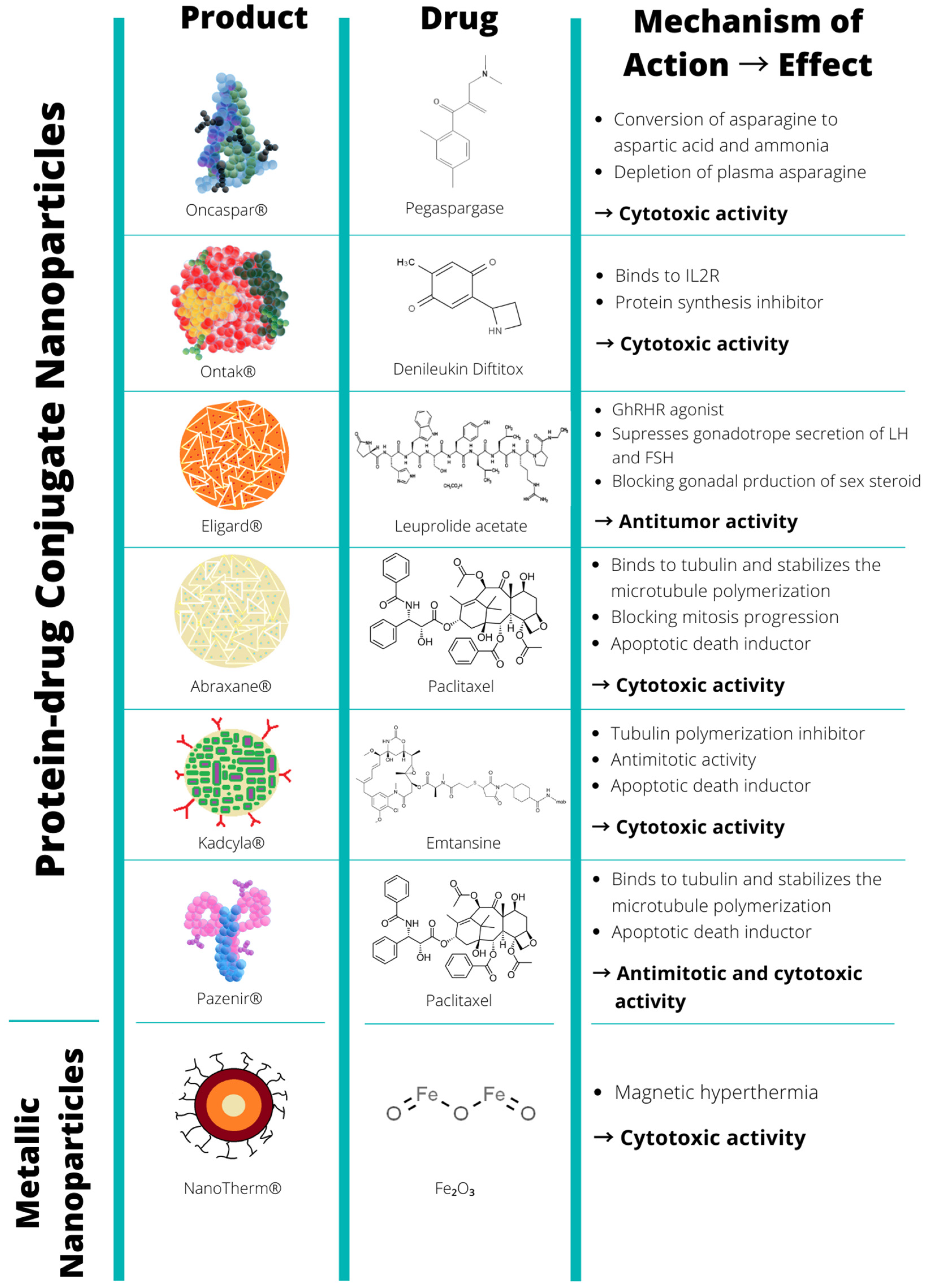 Biomolecules 12 00784 g002 Biomolecules 12 00784 g002