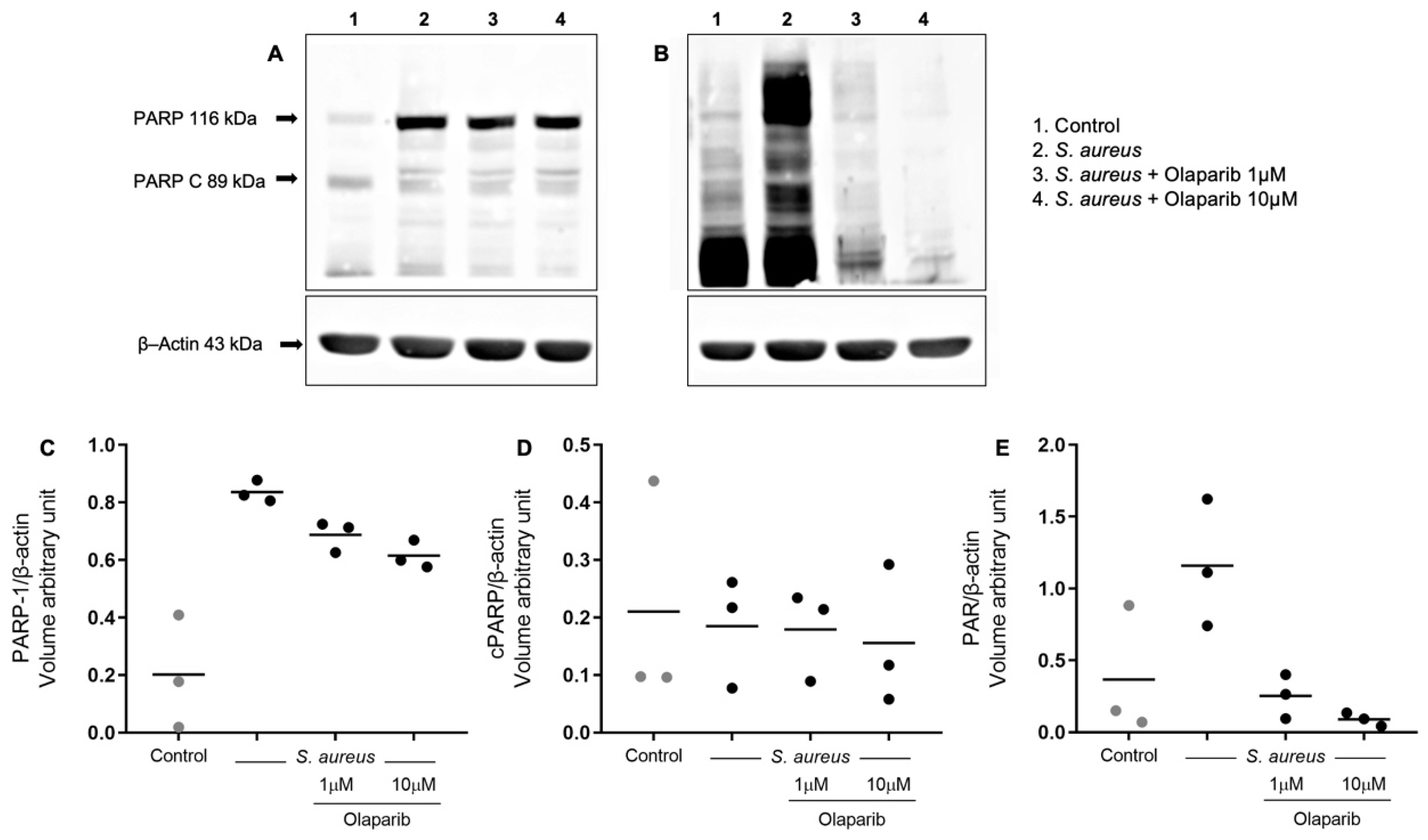 Biomolecules 12 00788 g002