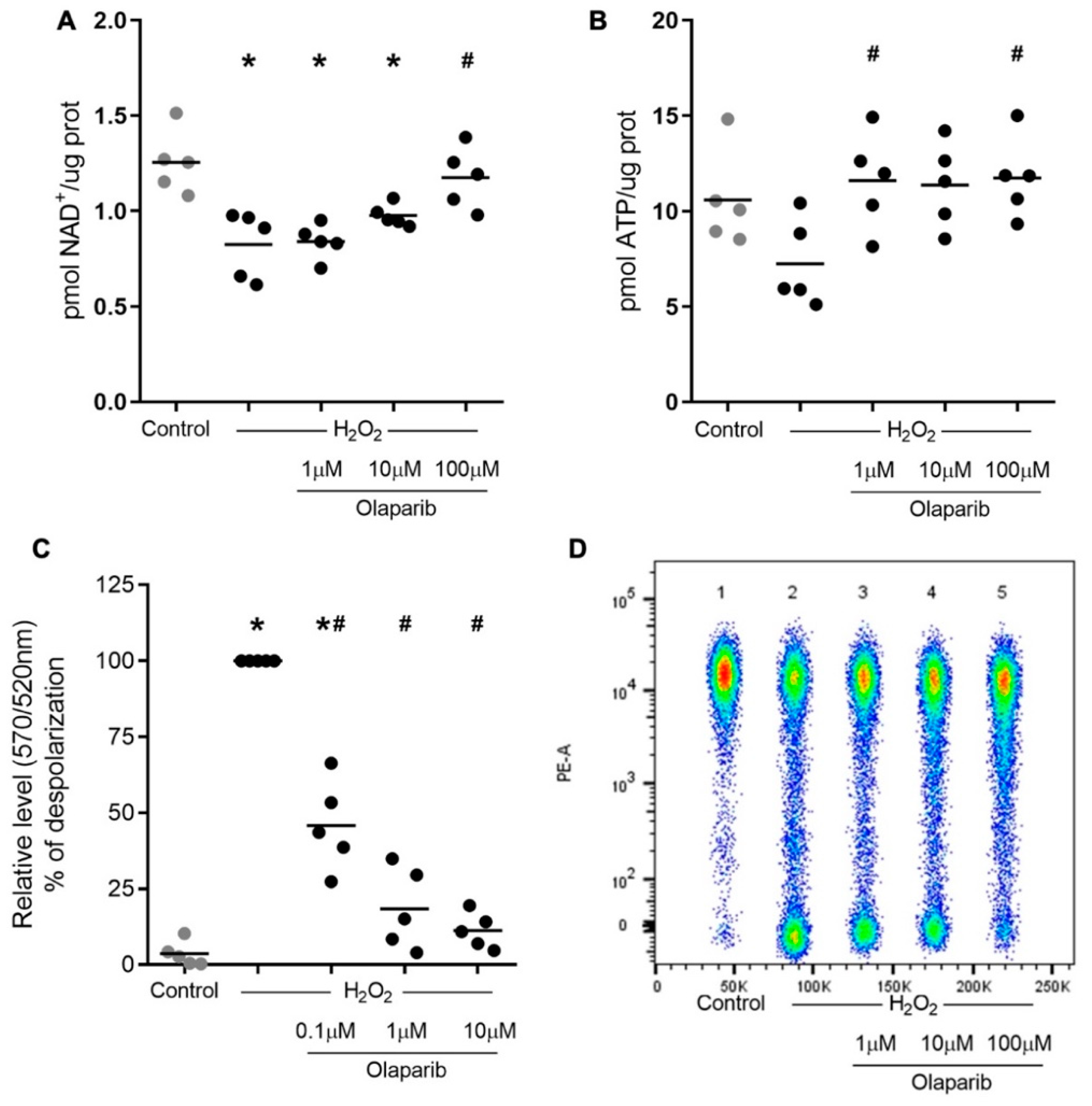 Biomolecules 12 00788 g003