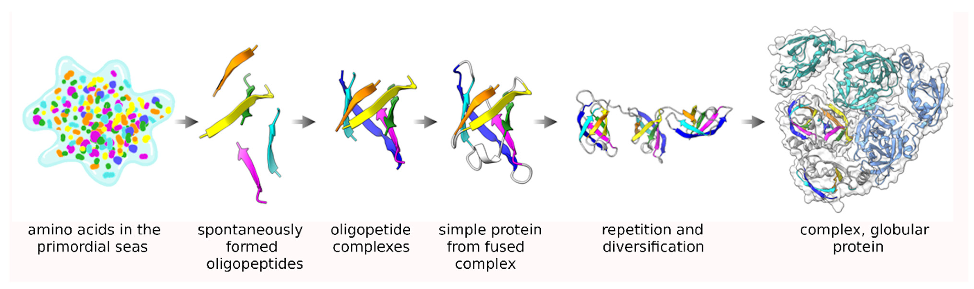 Biomolecules 12 00793 g001
