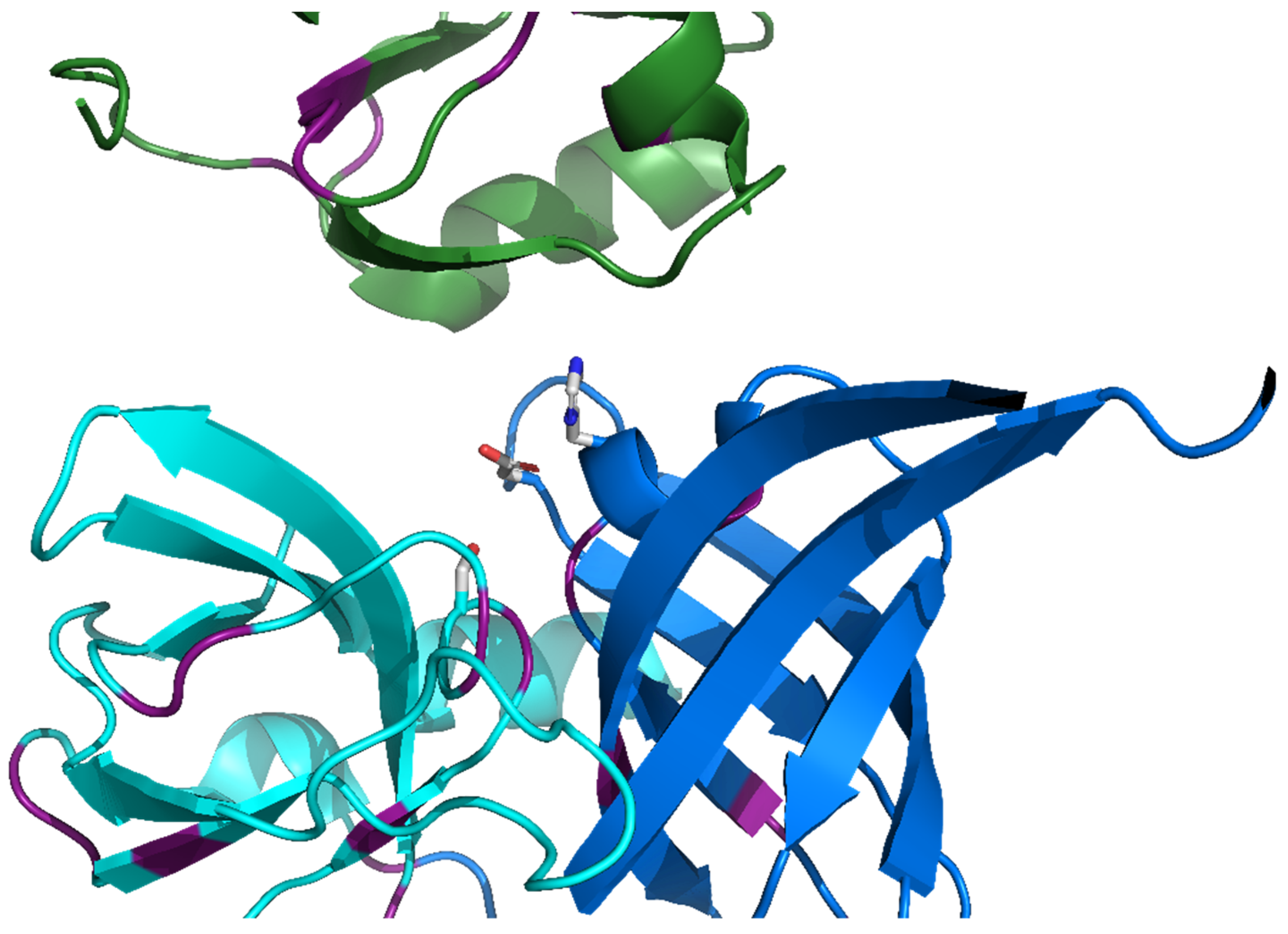 Biomolecules 12 00793 g002