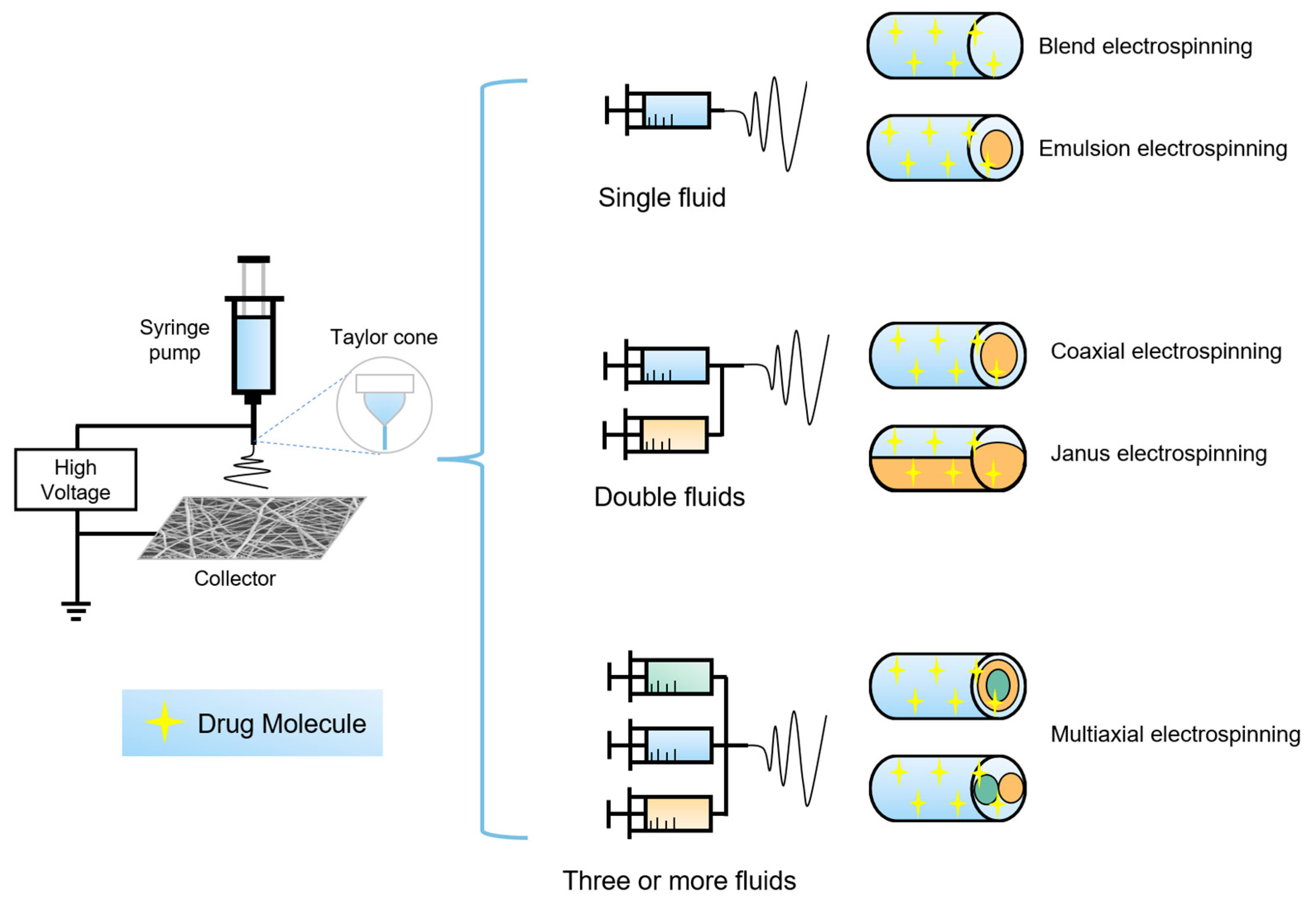 Biomolecules 12 00794 g004