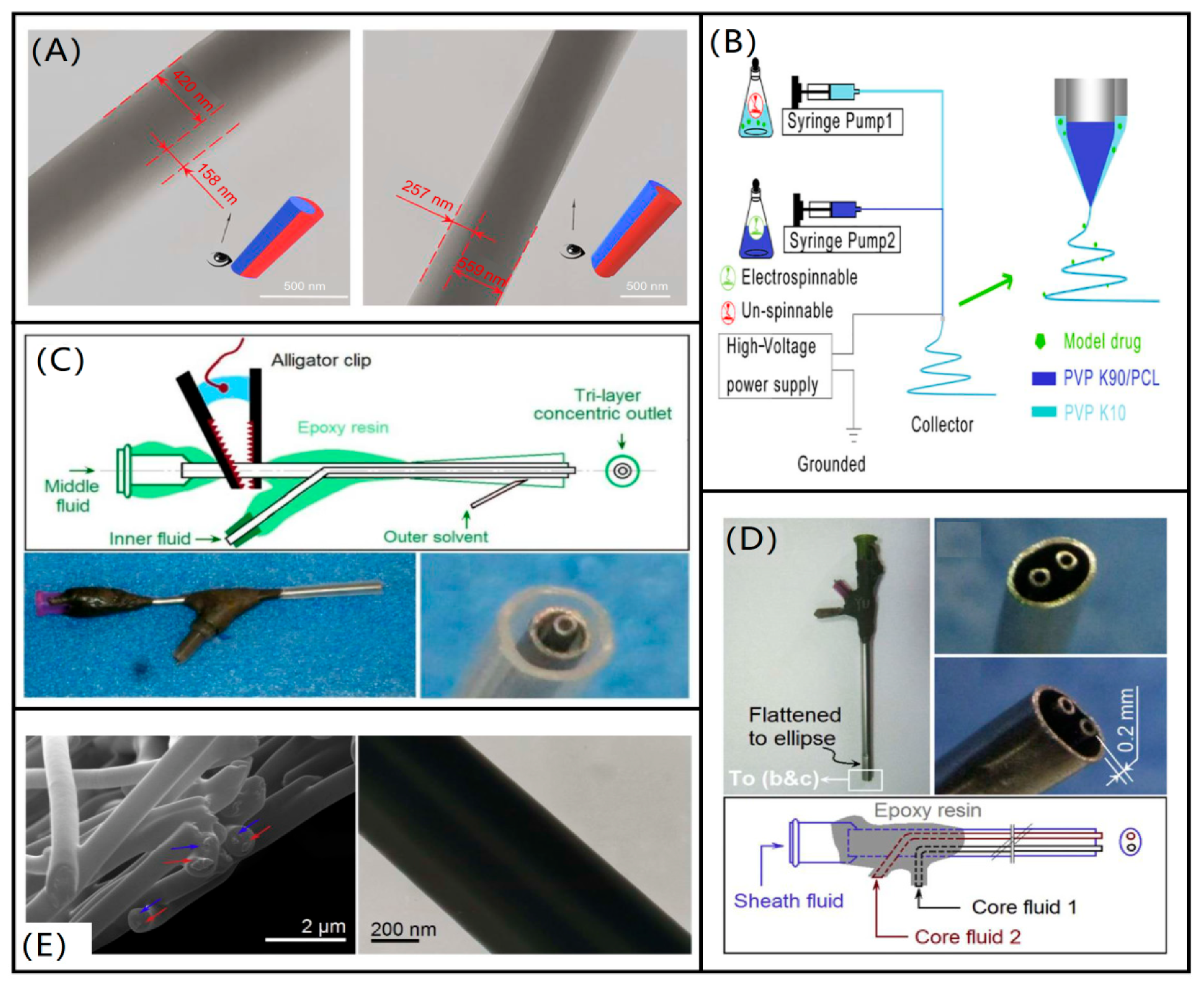 Biomolecules 12 00794 g005