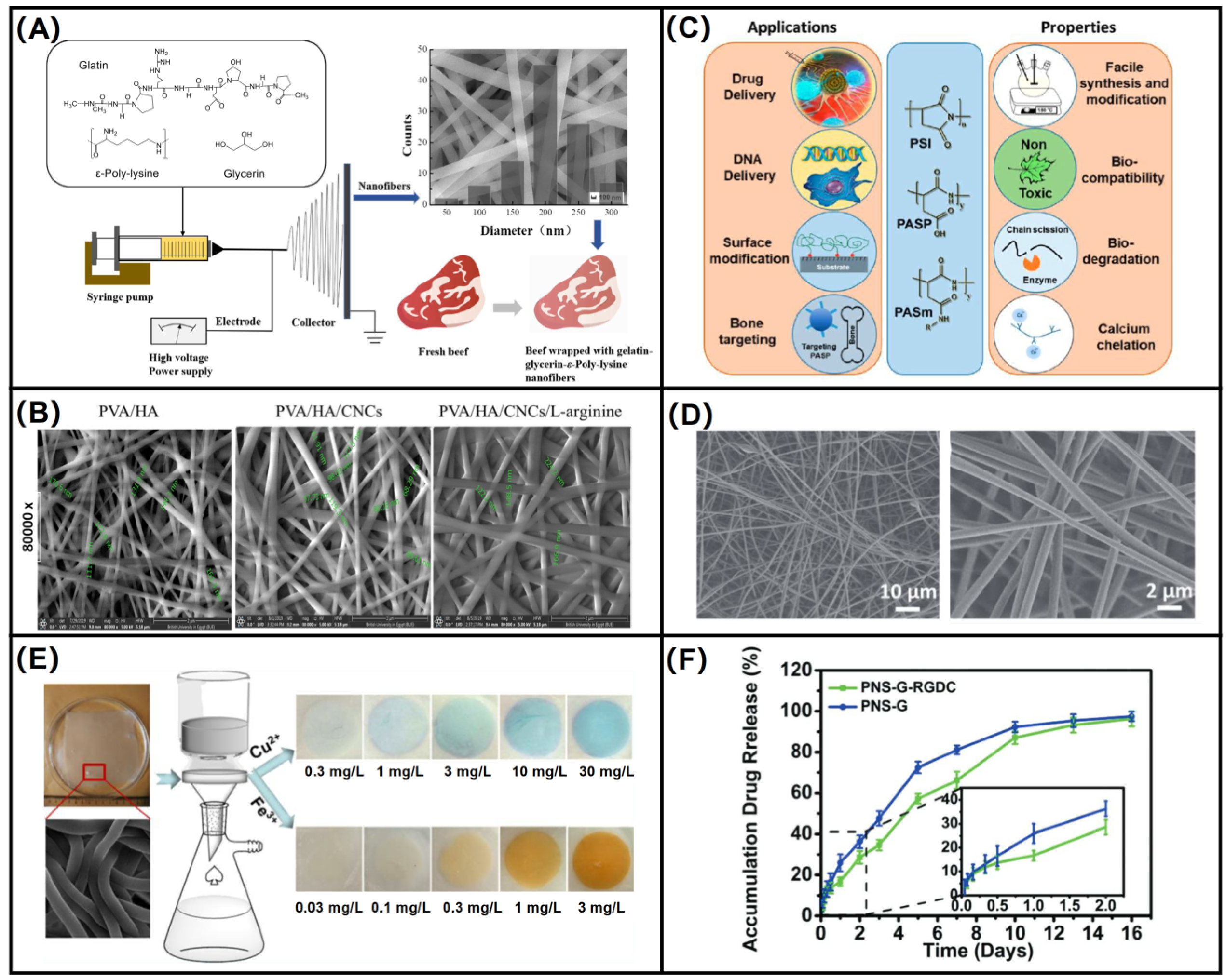 Biomolecules 12 00794 g007
