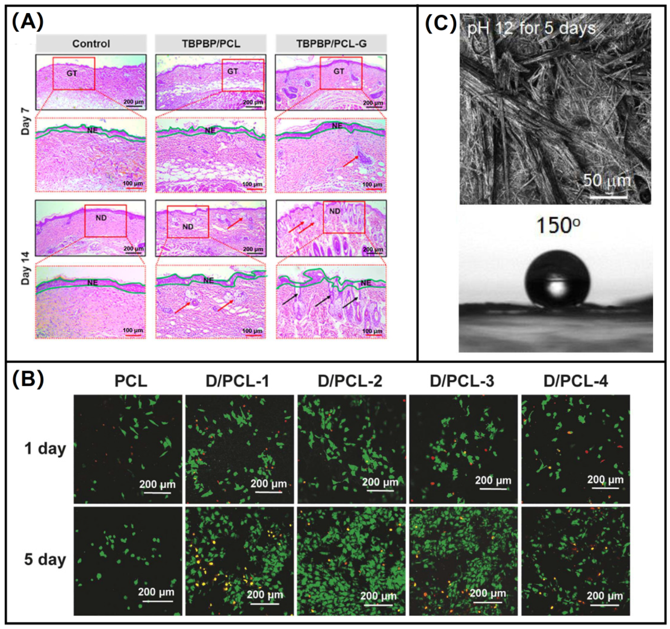 Biomolecules 12 00794 g008