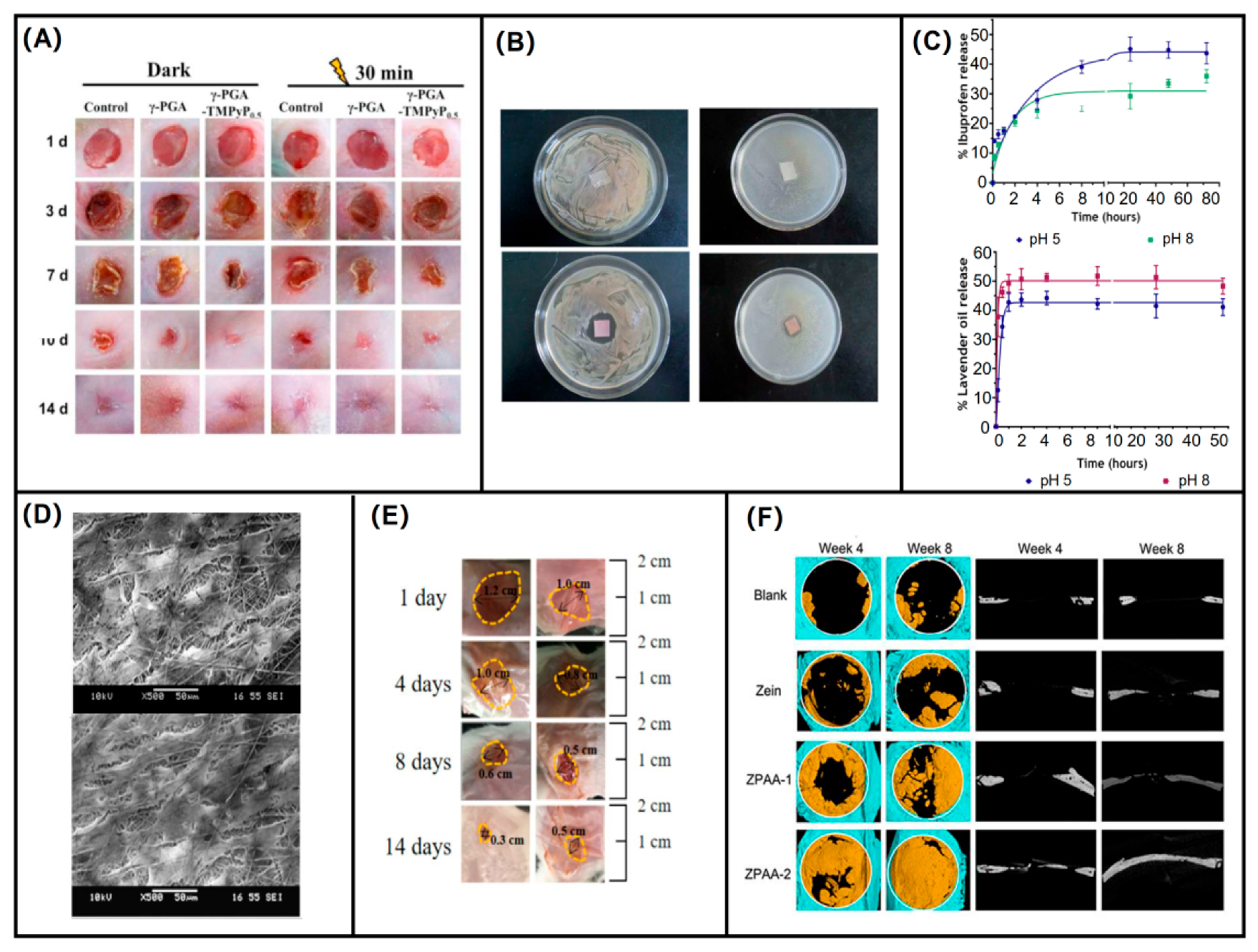 Biomolecules 12 00794 g009