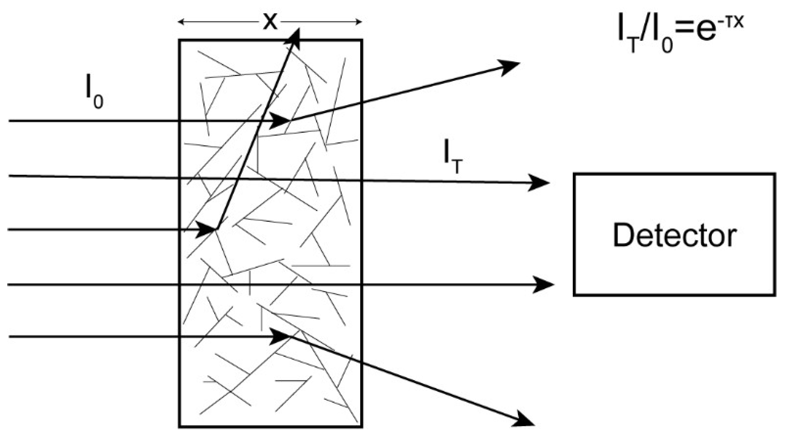 Biomolecules 12 00807 g002